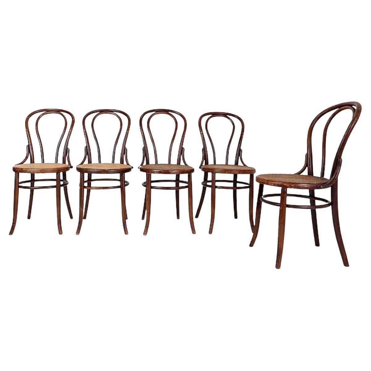Set of 5 bentwood chairs produced by the Fischel company between 1890 and 1910