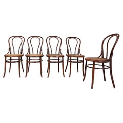 Set of 5 bentwood chairs produced by the Fischel company between 1890 and 1910