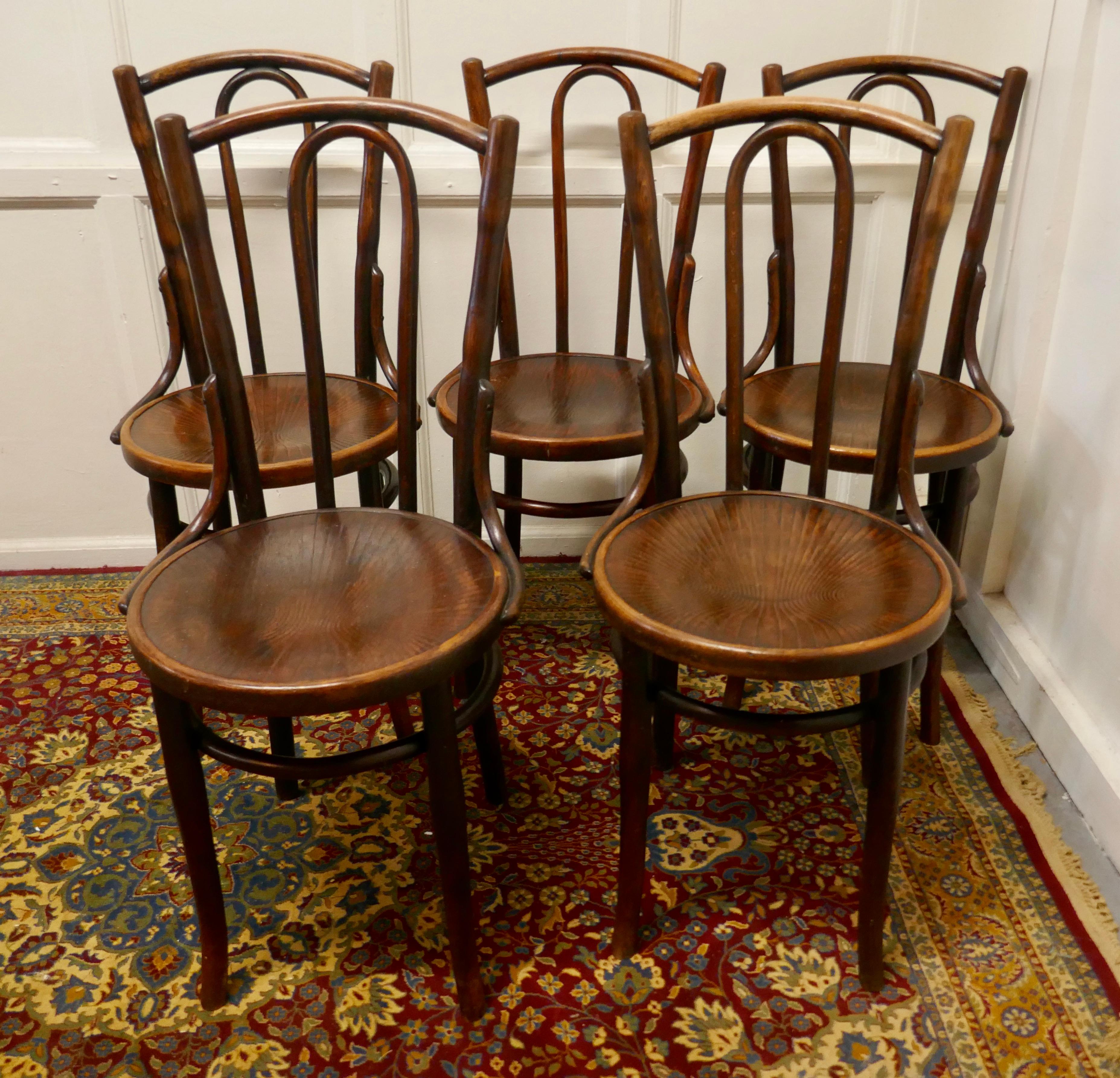 Country Set of 5 Bistro Bentwood Chairs by Mazowia
