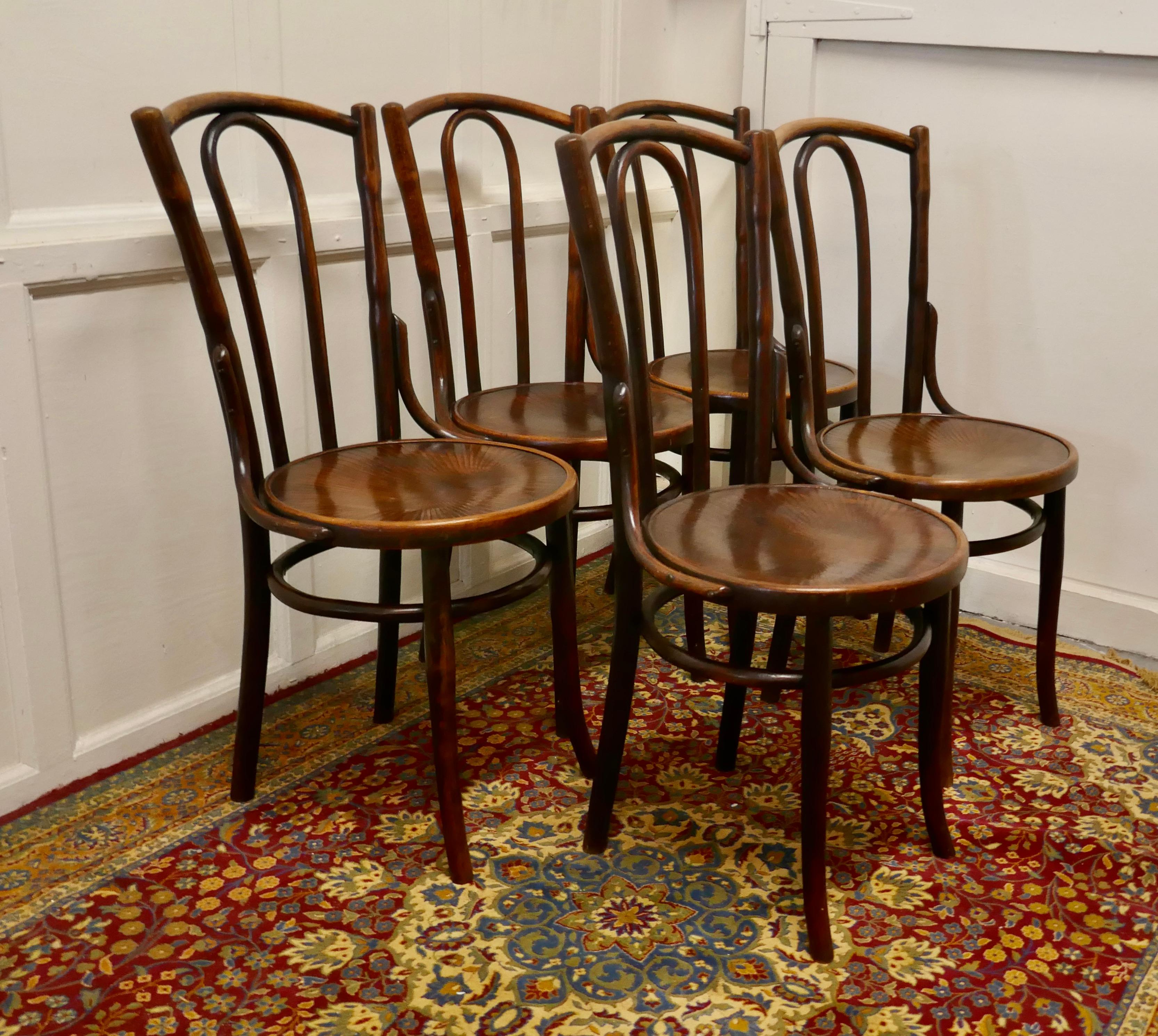 Set of 5 Bistro Bentwood Chairs by Mazowia In Good Condition In Chillerton, Isle of Wight