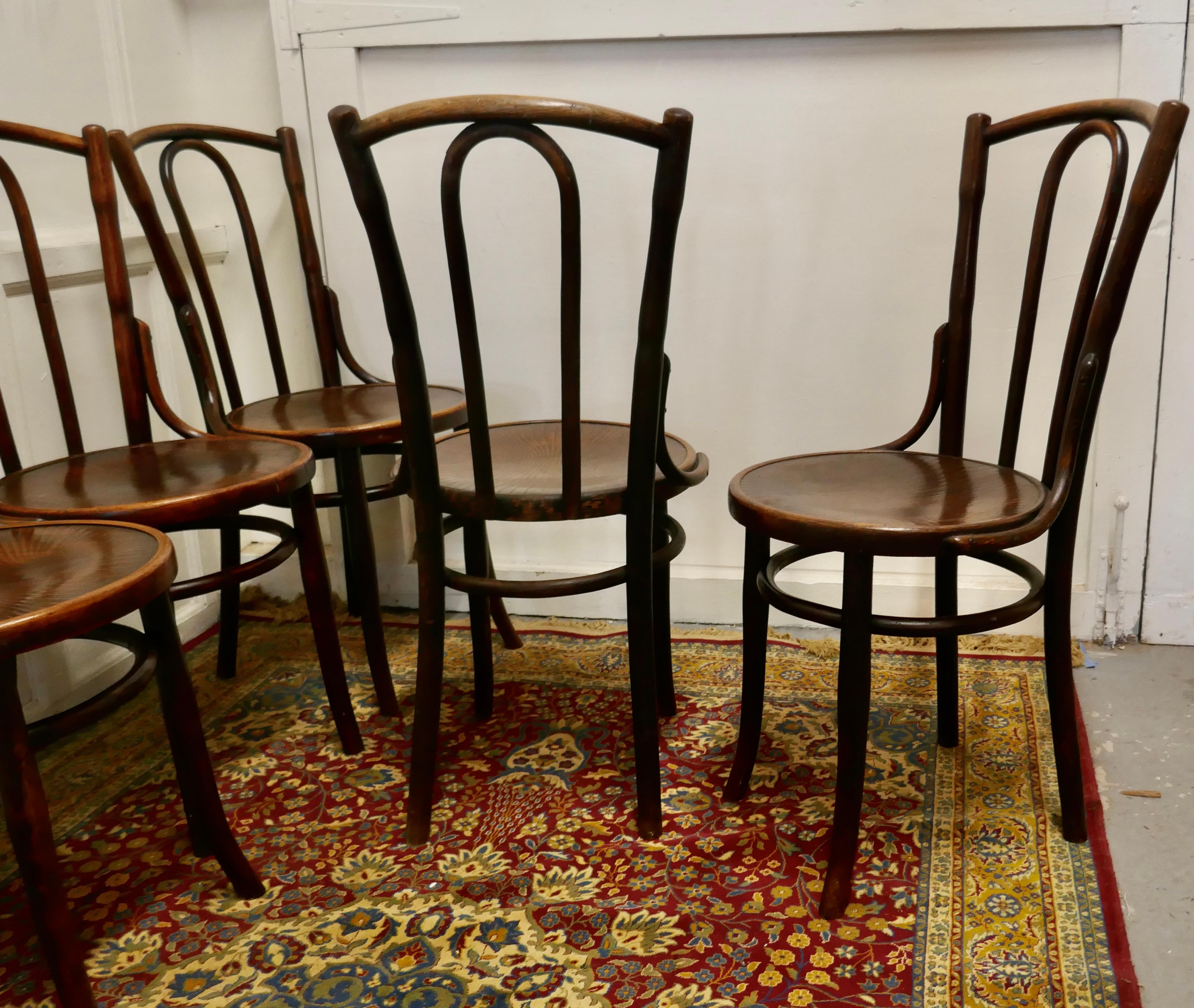 20th Century Set of 5 Bistro Bentwood Chairs by Mazowia