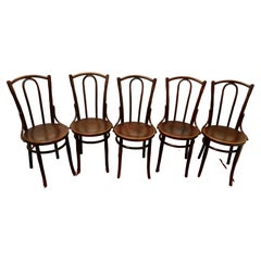 Set of 5 Bistro Bentwood Chairs by Mazowia
