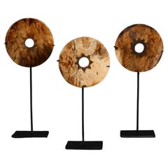 Natural Specimens