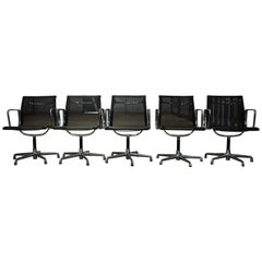 Set of 5 Charles and Ray Eames by ICF Black Net Weave EA108 Office Swivel Chairs