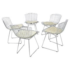 Set of 5 Chrome Bertoia Dining Chairs
