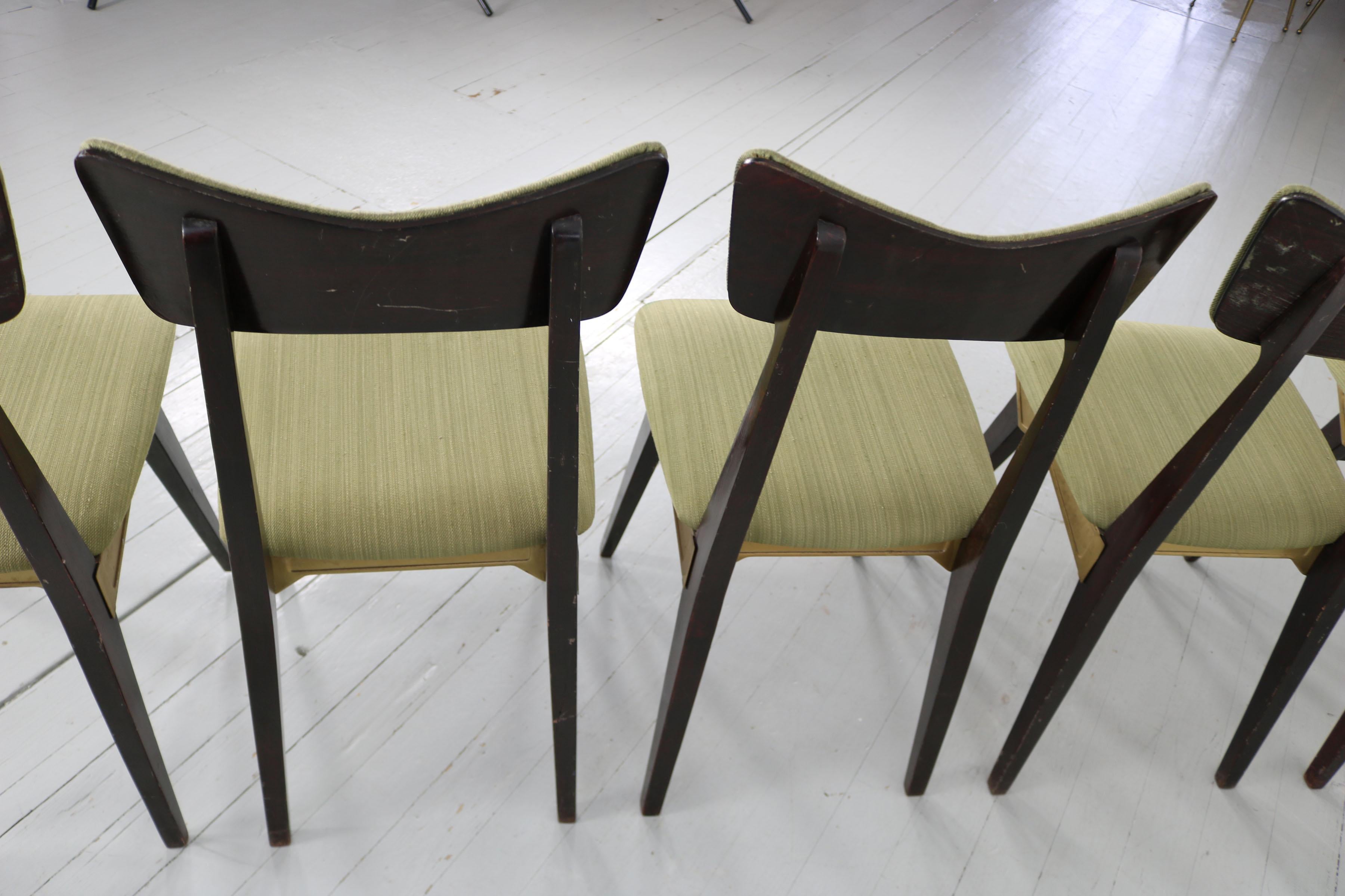 Ensemble de 5 chaises Francor Ospitaletto, Italie, années 50 en vente 5