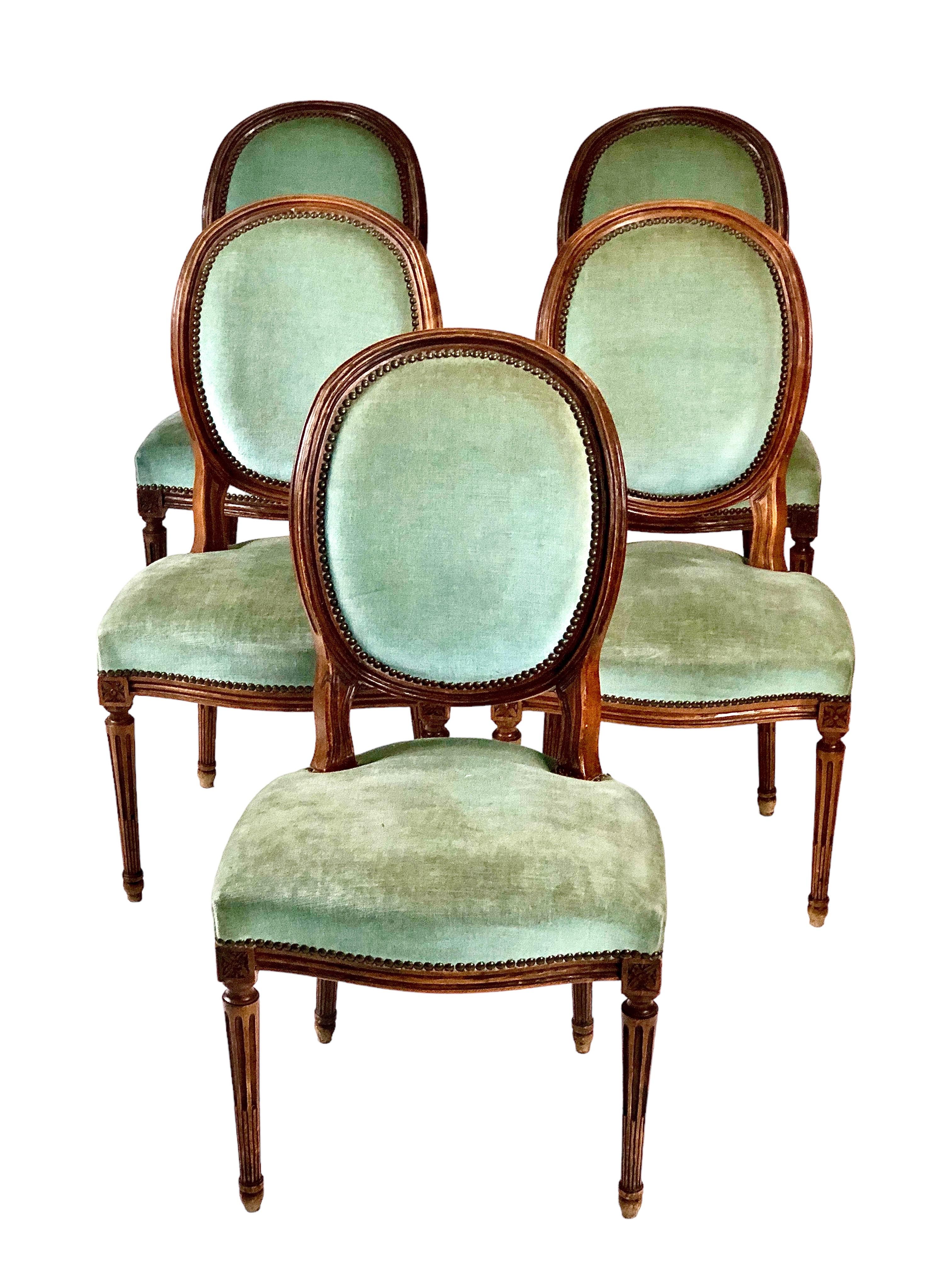 This set of five Parisian dining chairs is truly stunning. Made of solid chestnut, they boast upholstery in rich blue velvet. Each chair is designed to offer exceptional comfort, with a padded and contoured seatback embellished with elegant nailhead