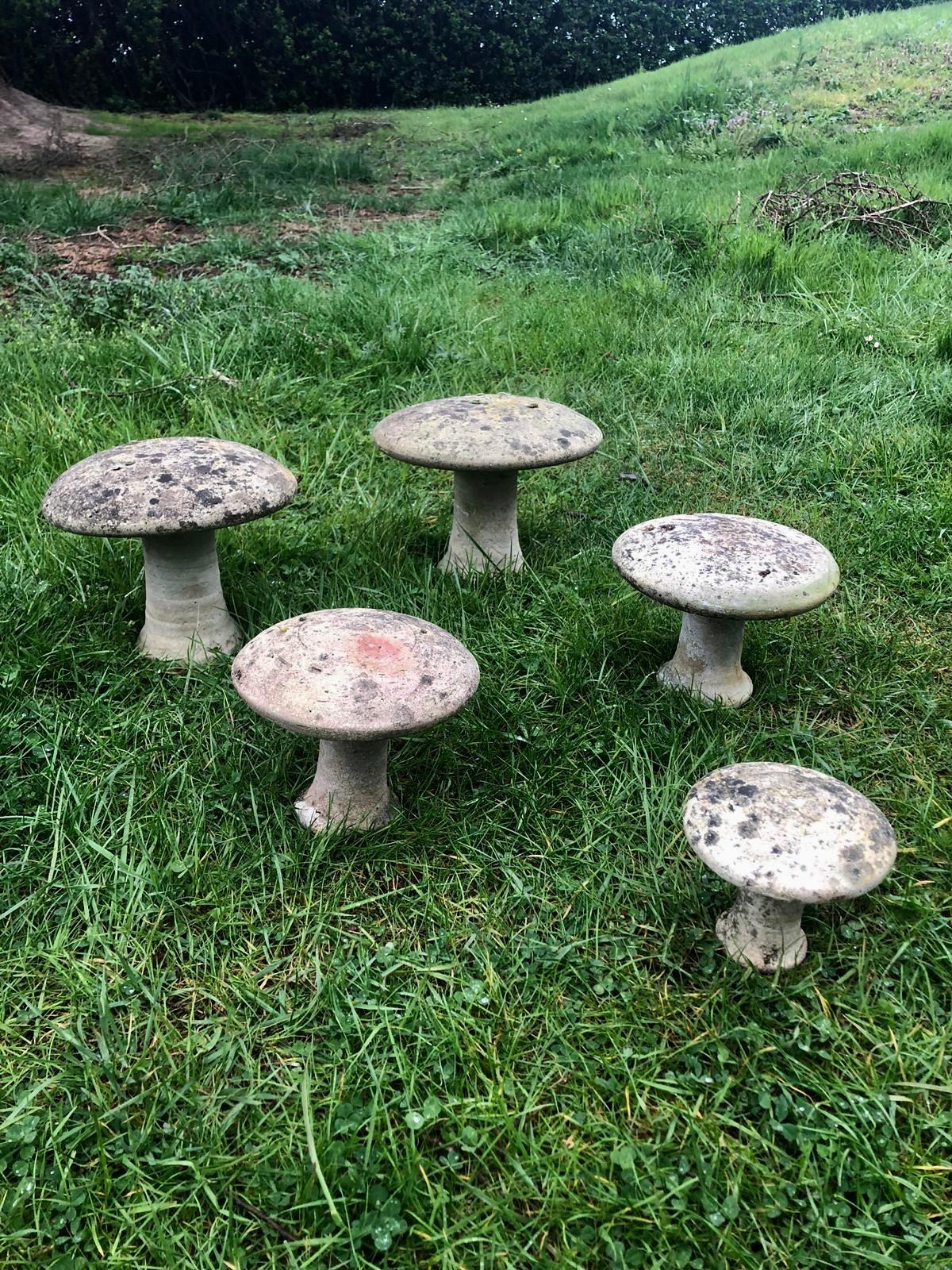 Great set of French concrete mushroom sculptures from the 1950s. Great patina and age. Cool piece of art for your outdoor space. Pictured as they were found in the French countryside. Sold as a set of 5.

3 sizes.

2 large mushrooms - 10.3