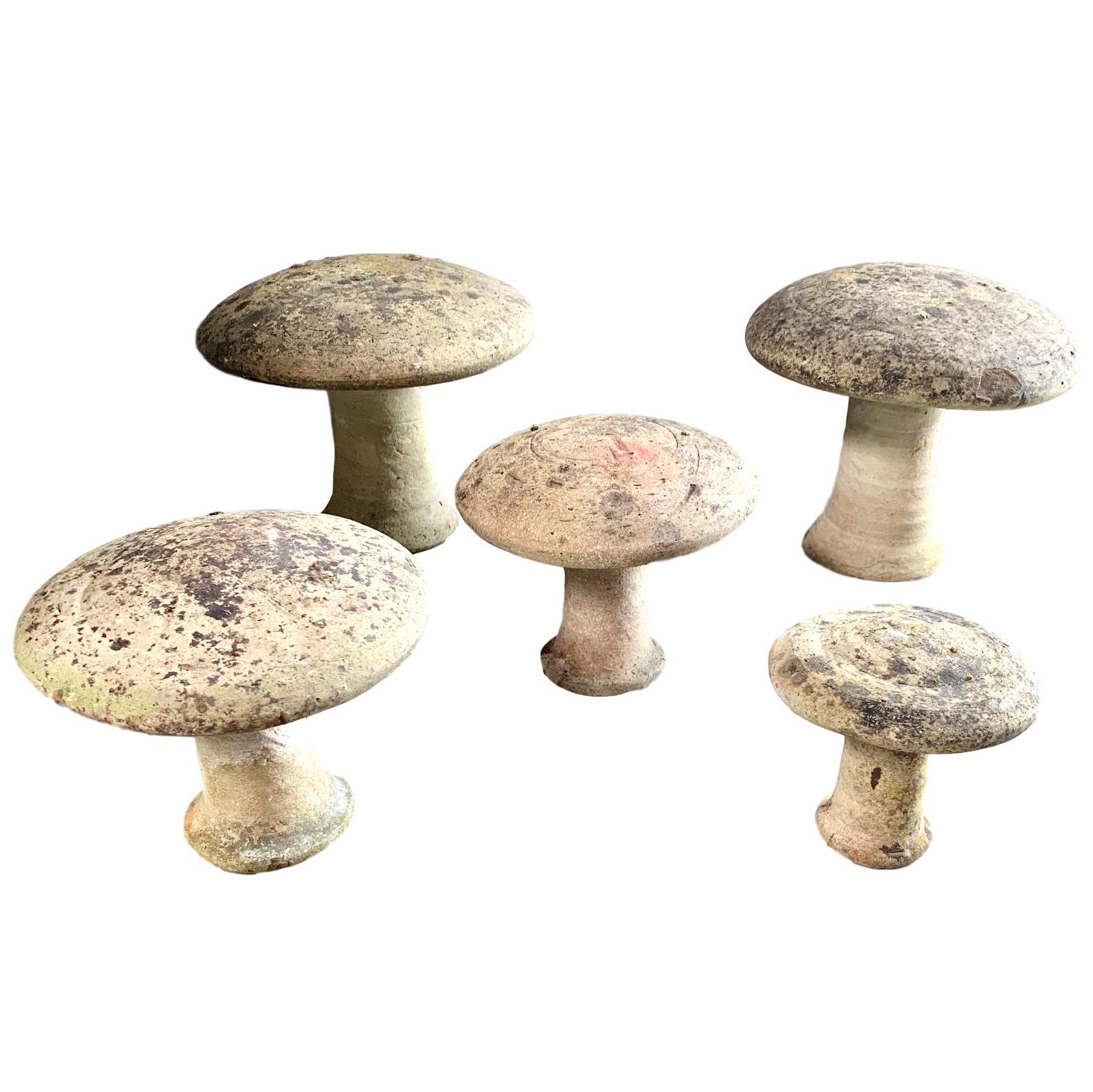 Set of 5 French Concrete Garden Mushroom Sculptures