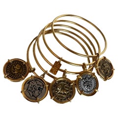Set of 5 Gold Plate Silver Roman Inspired Coin Charm Lion Stack Bangle Bracelets