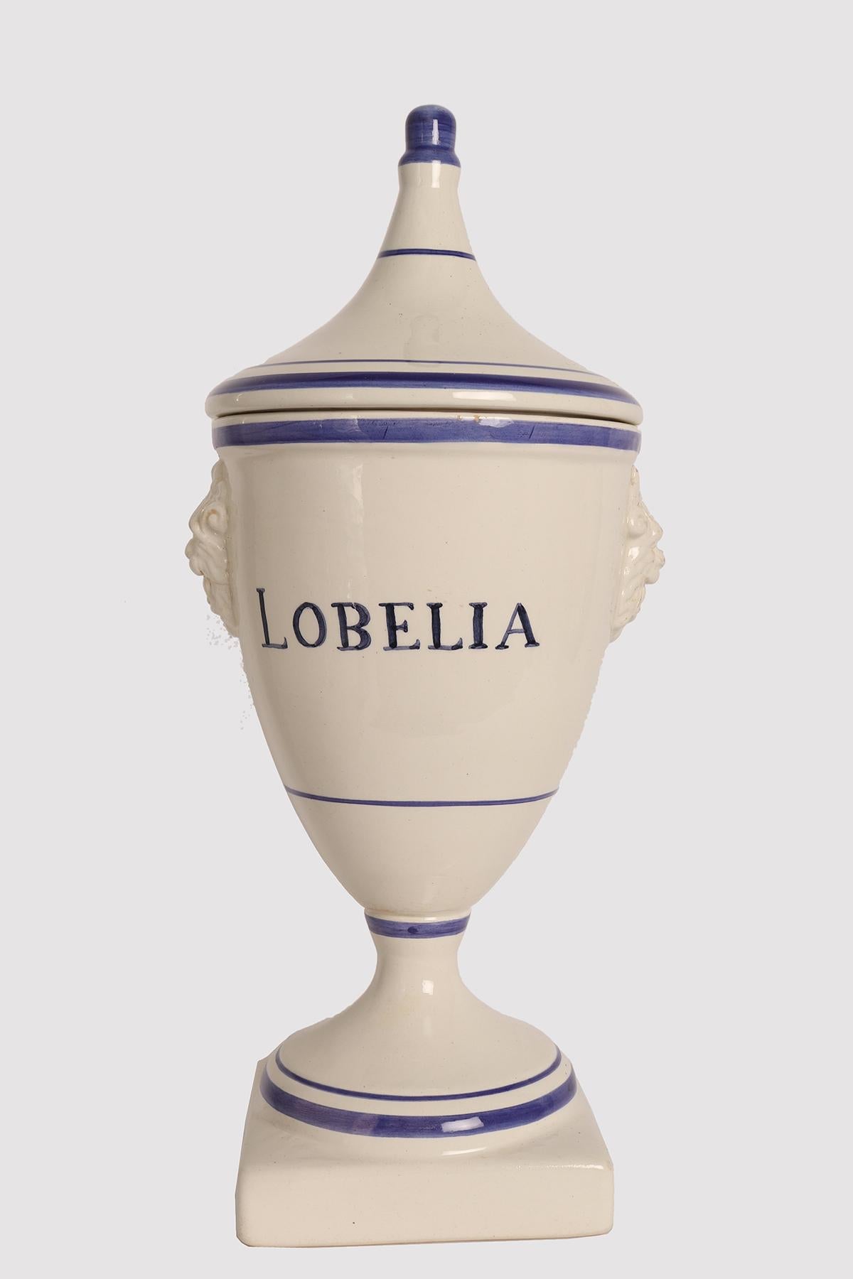 19th Century Set of 5 herbalist pharmacy ceramic jars, Italy 1890. For Sale