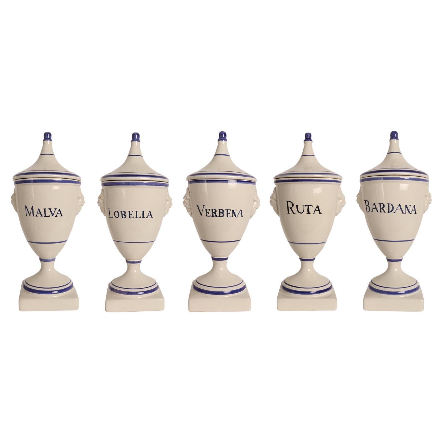 Set of 5 herbalist pharmacy ceramic jars, Italy 1890. For Sale