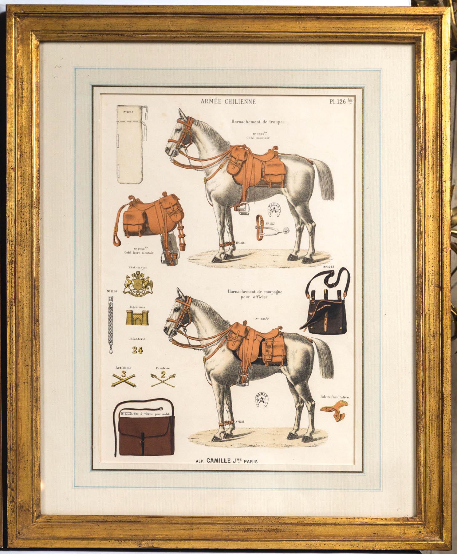 Set of 5 Horse Related Engravings  by Camille & Fils, Paris 6