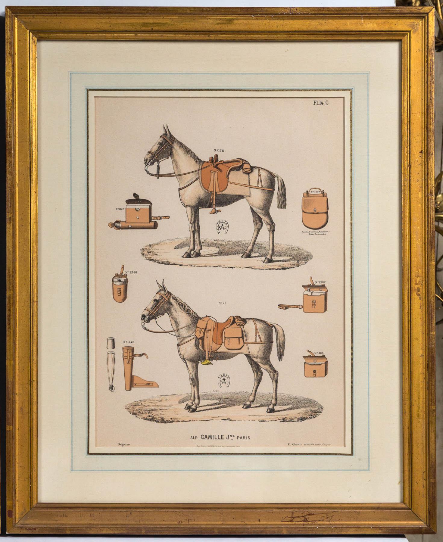 French Set of 5 Horse Related Engravings  by Camille & Fils, Paris
