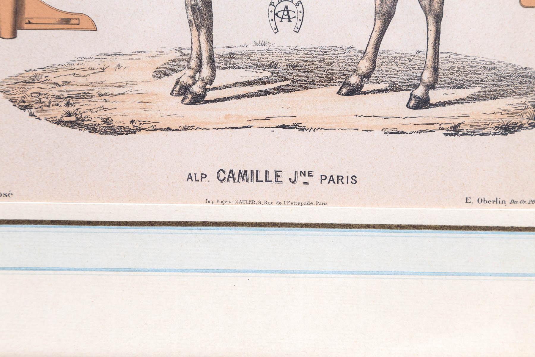 Set di 5 incisioni legate al cavallo  da Camille & Fils, Parigi In condizioni buone a Woodbury, CT