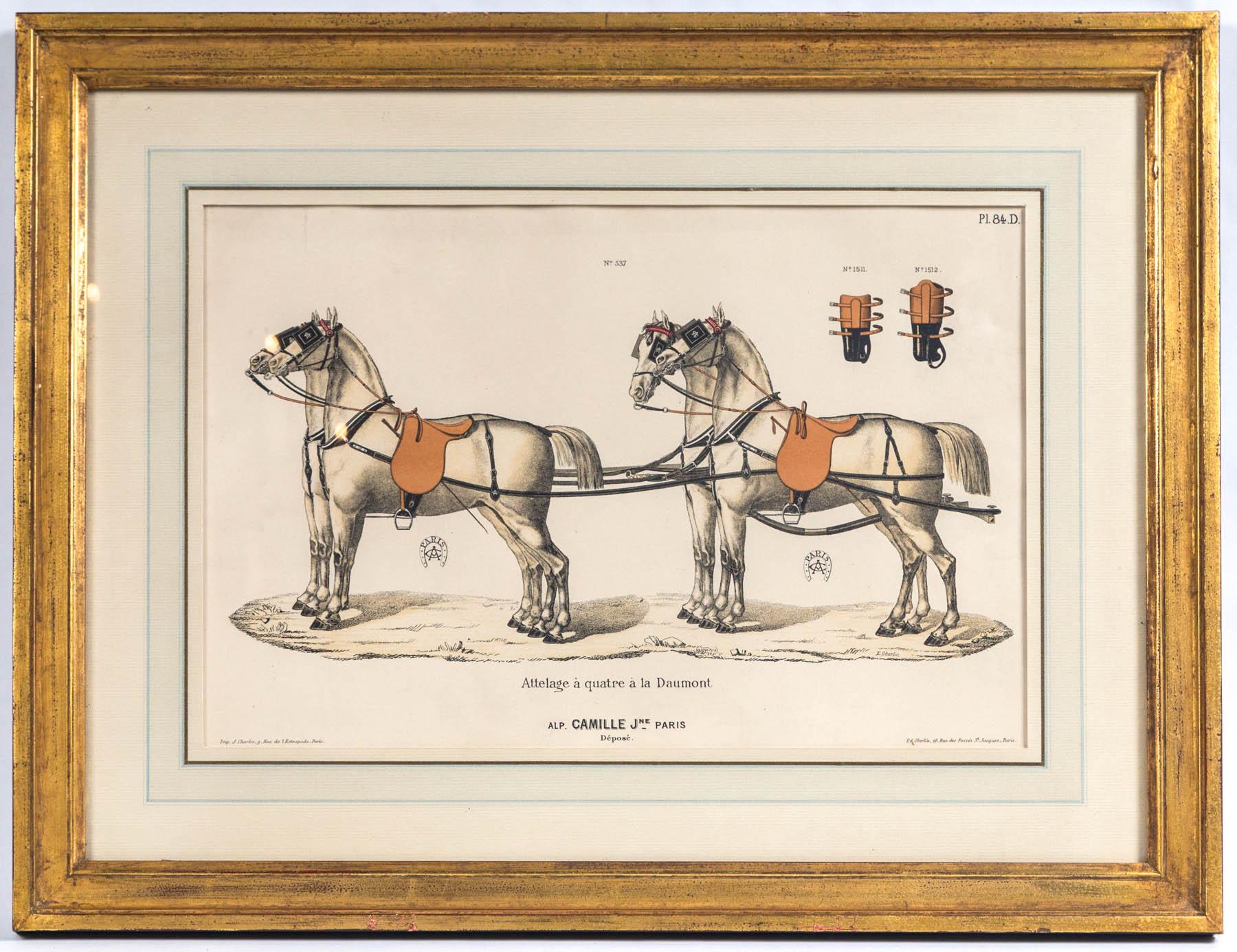Set of 5 Horse Related Engravings  by Camille & Fils, Paris 3