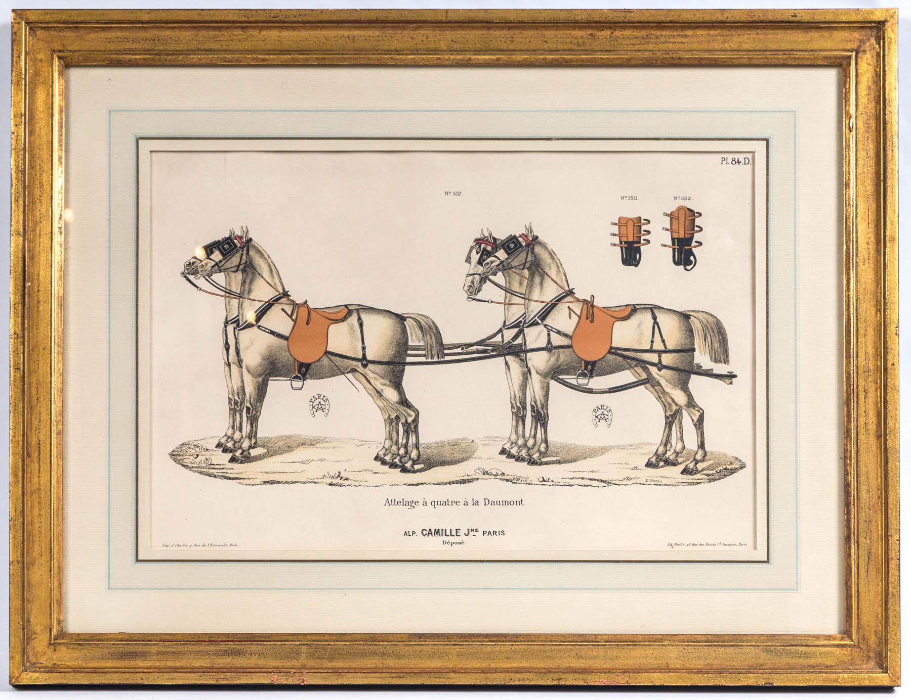 Set di 5 incisioni legate al cavallo  da Camille & Fils, Parigi 3