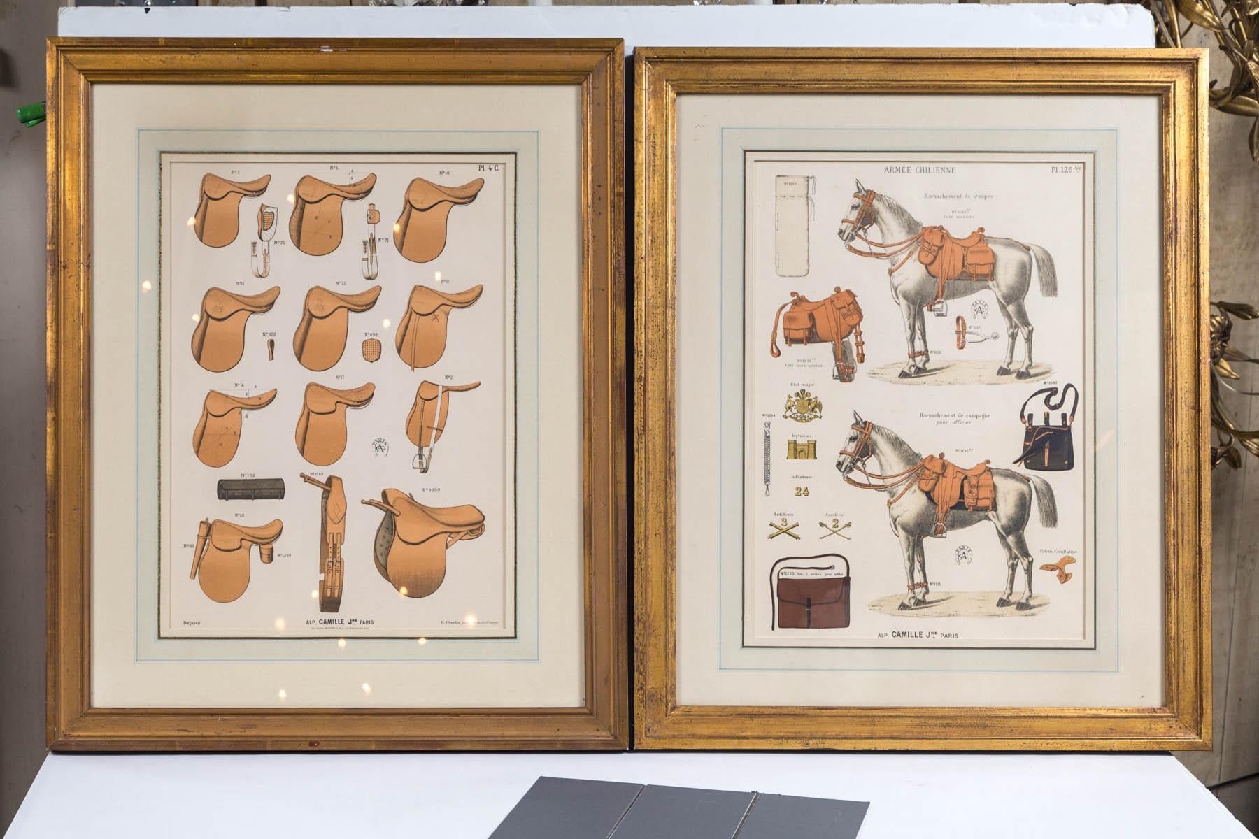 Set di 5 incisioni legate al cavallo  da Camille & Fils, Parigi 4
