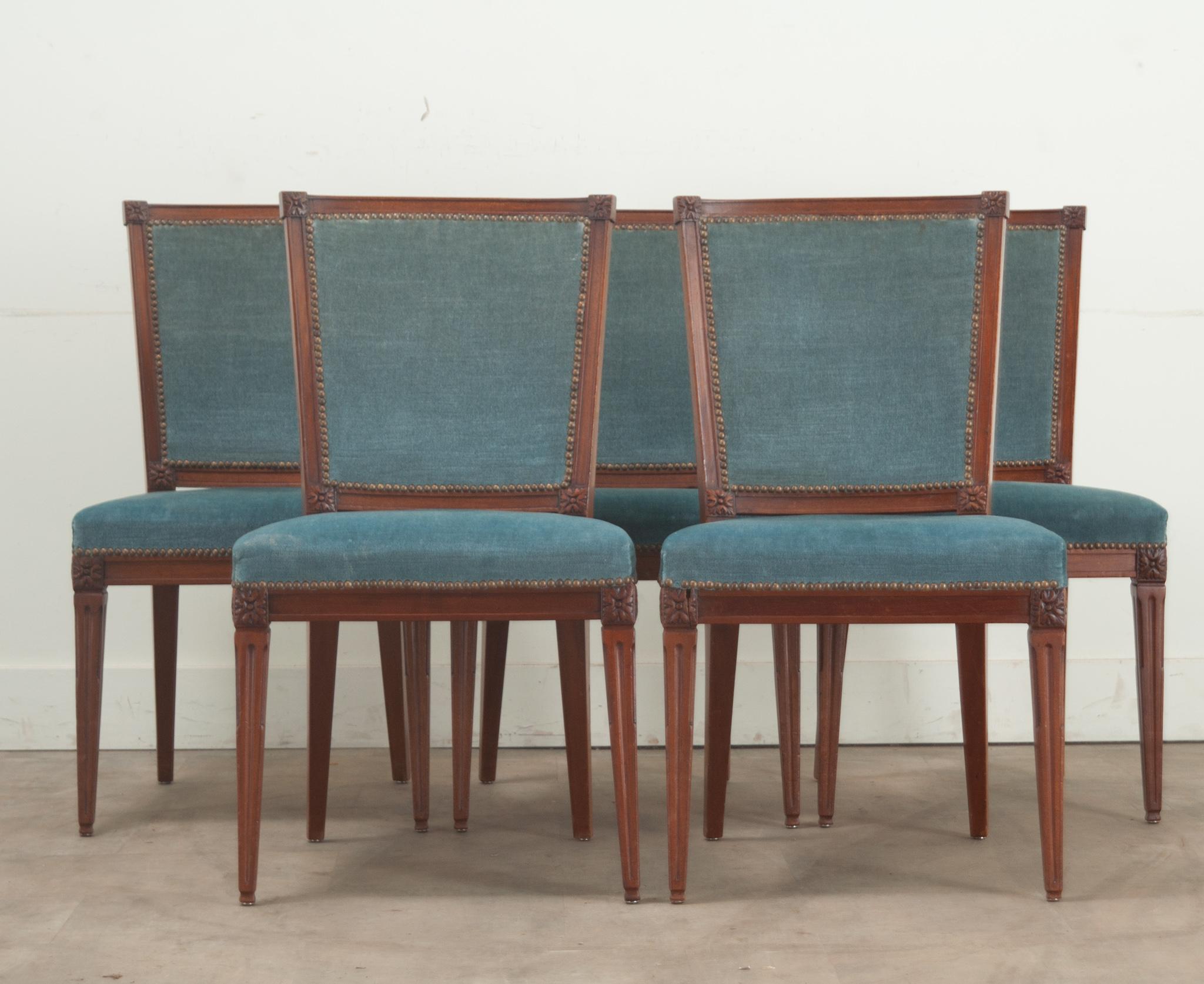 French Set of 5 Louis XVI Style Dining Chairs