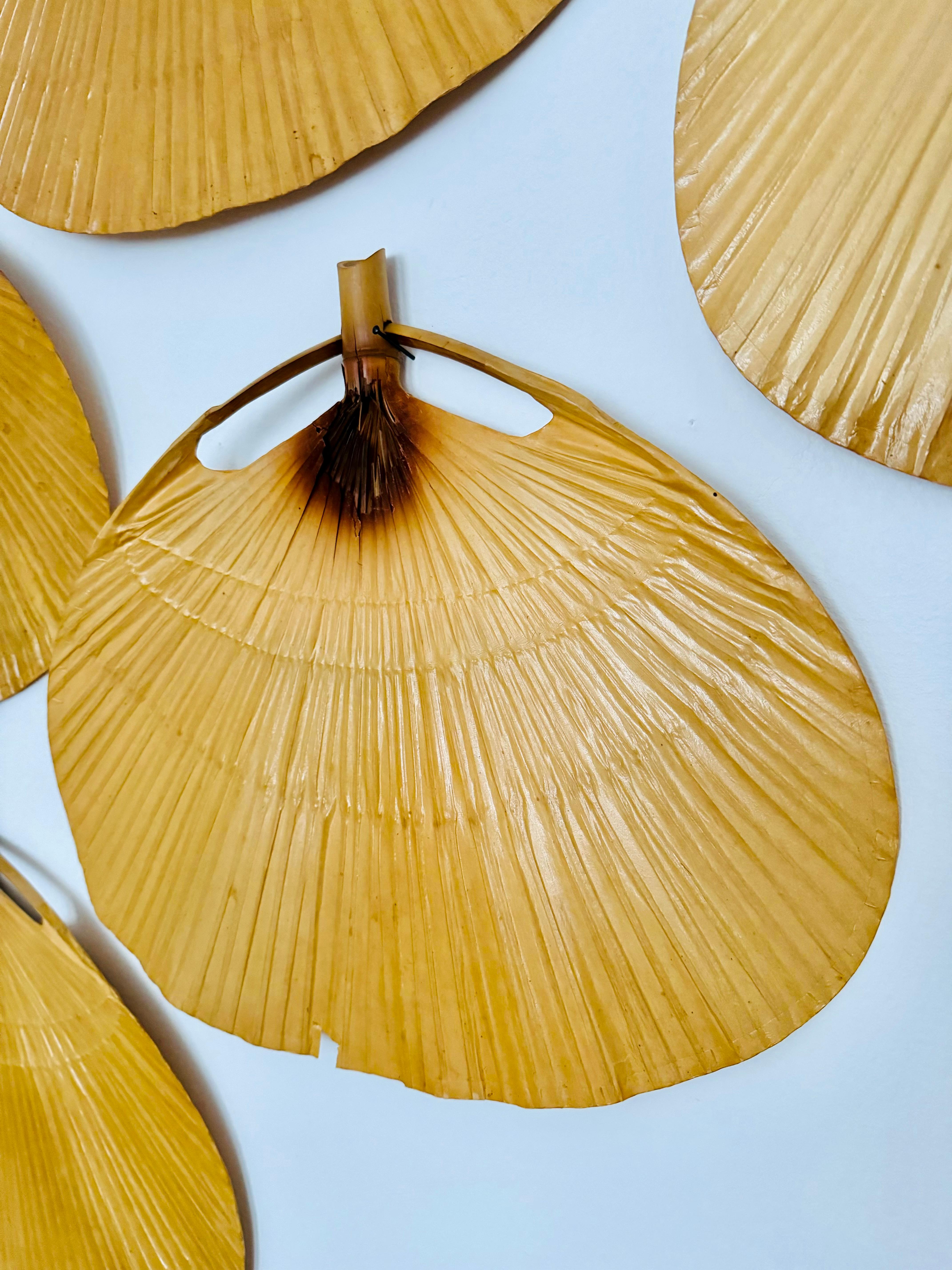 Set di 5 ventole originali di ricambio per la lampada a sospensione Uchiwa di Ingo Maurer in vendita 10
