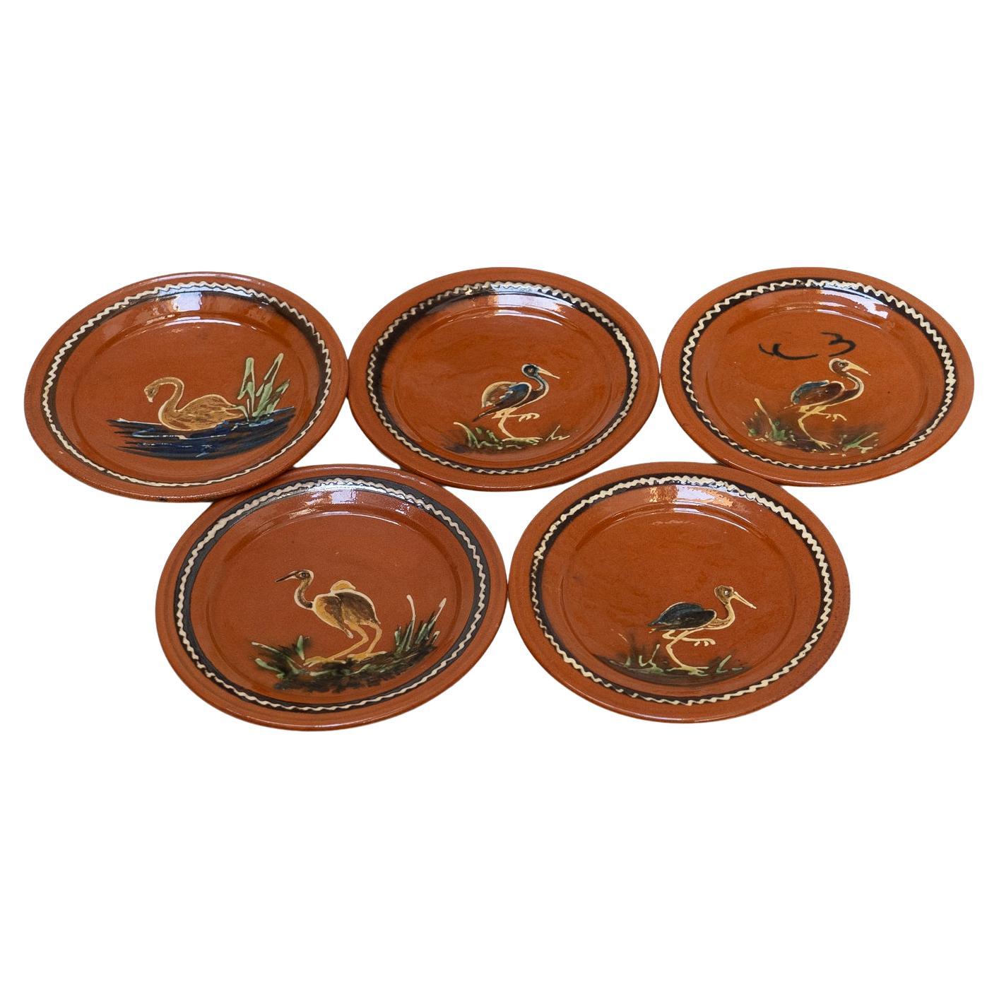 Juego de 5 Platos "Patos Diaz Costa