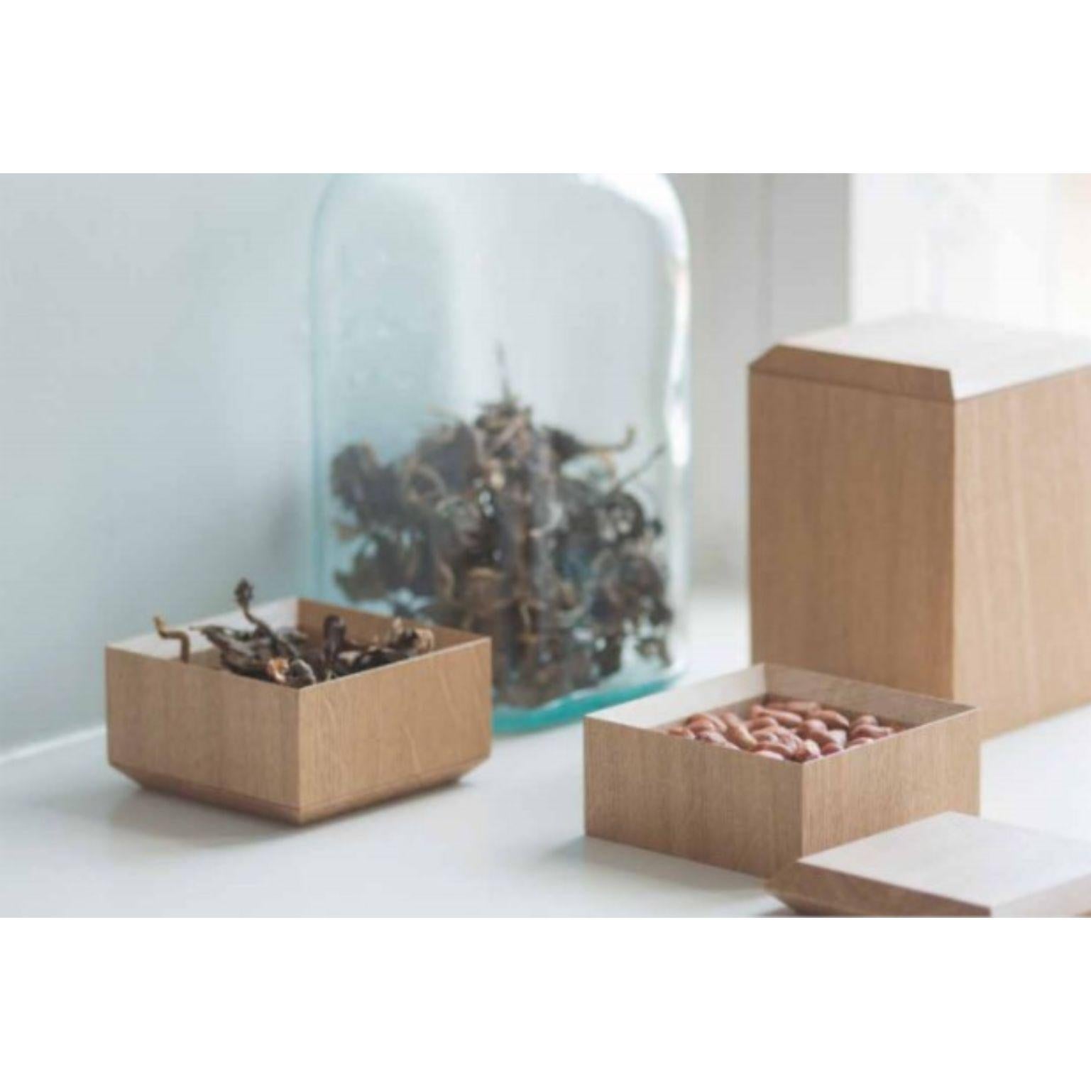 Contemporary Set of 5 Pino Boxes by Antrei Hartikainen