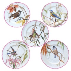 Set of 5 Porcelain Plates with Birds, Circa 1880