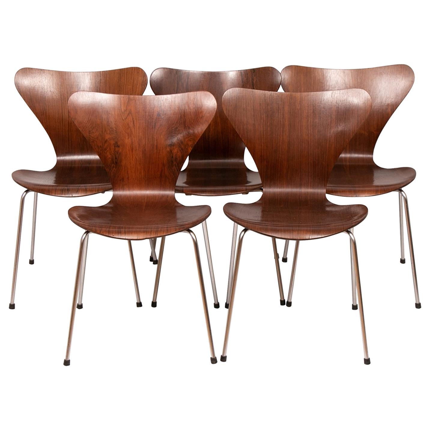 Set of 5 Series 7 Model 3107 Rosewood Chairs by Arne Jacobsen, circa 1960 For Sale