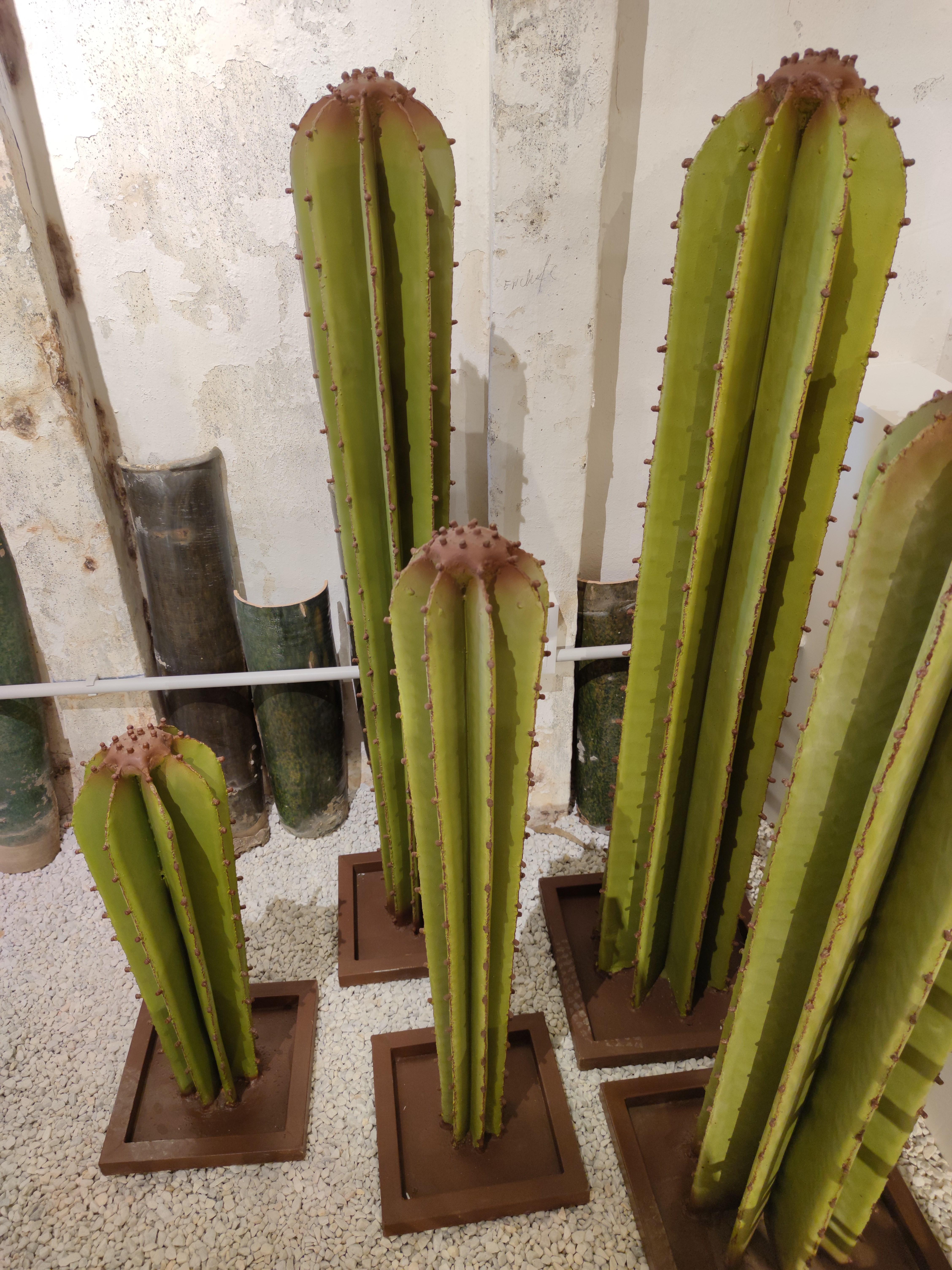spanish cactus
