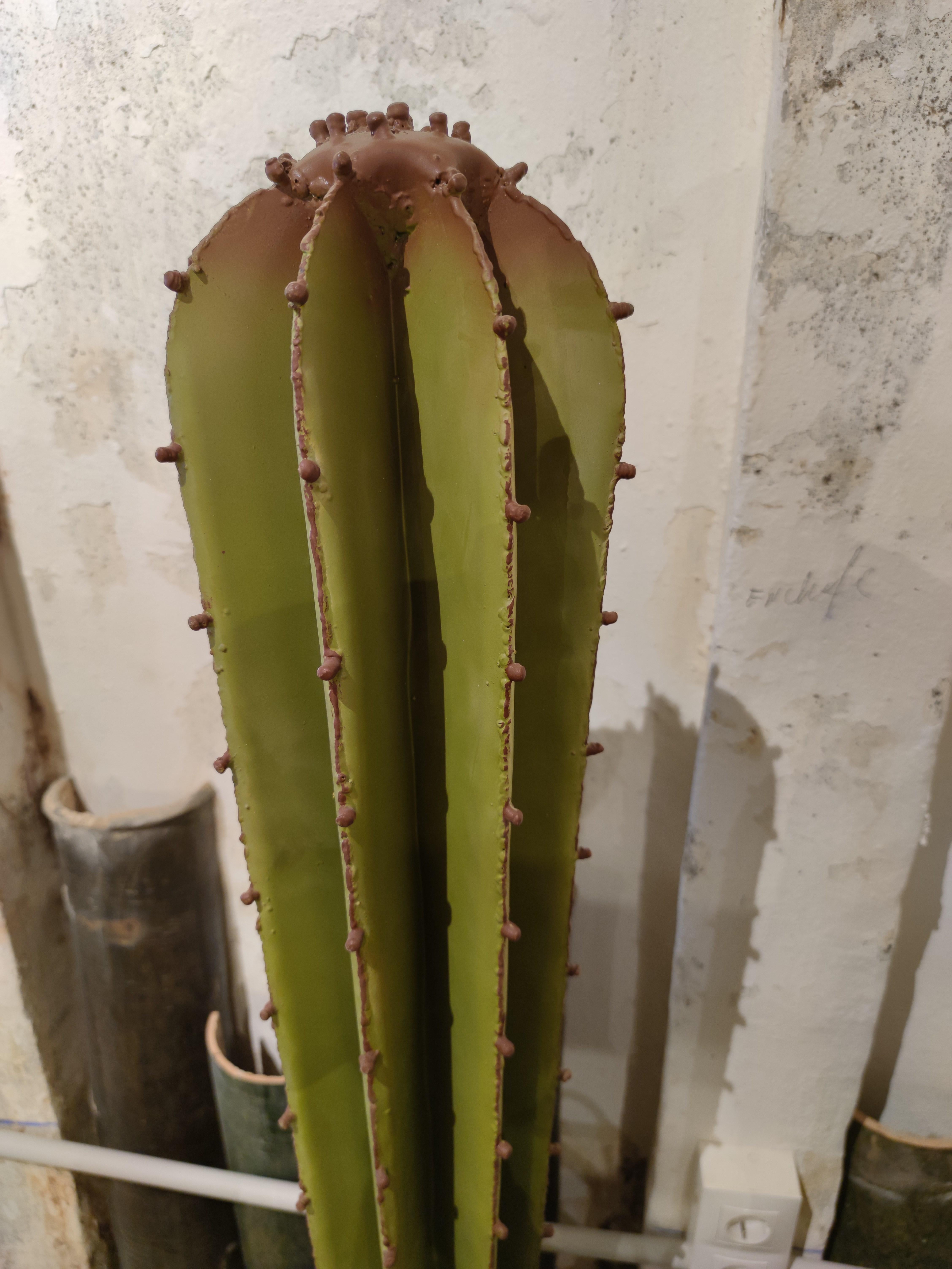 Set of 5 Spanish Hand Painted Cactus Iron Sculptures In Good Condition In Marbella, ES