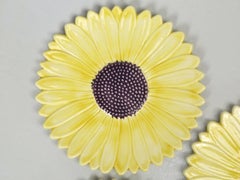 Set of 5 Sunflower Majolica Plates from the French Provence