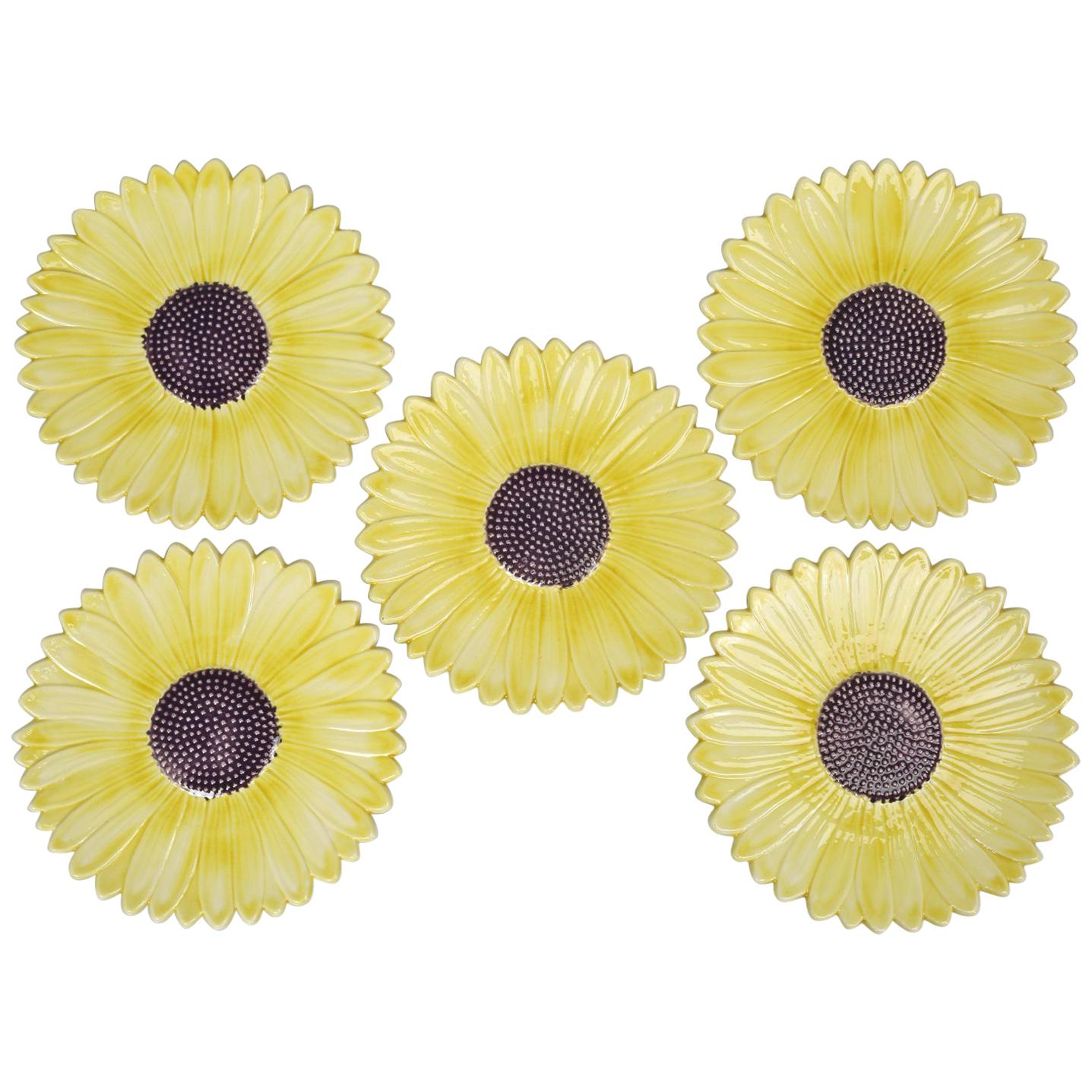Set of 5 Sunflower Majolica Plates from the French Provence