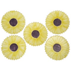 Vintage Set of 5 Sunflower Majolica Plates from the French Provence