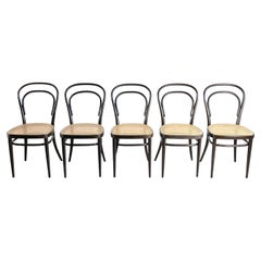 Satz von 5 Thonet #214 Wiener Bugholzstühlen
