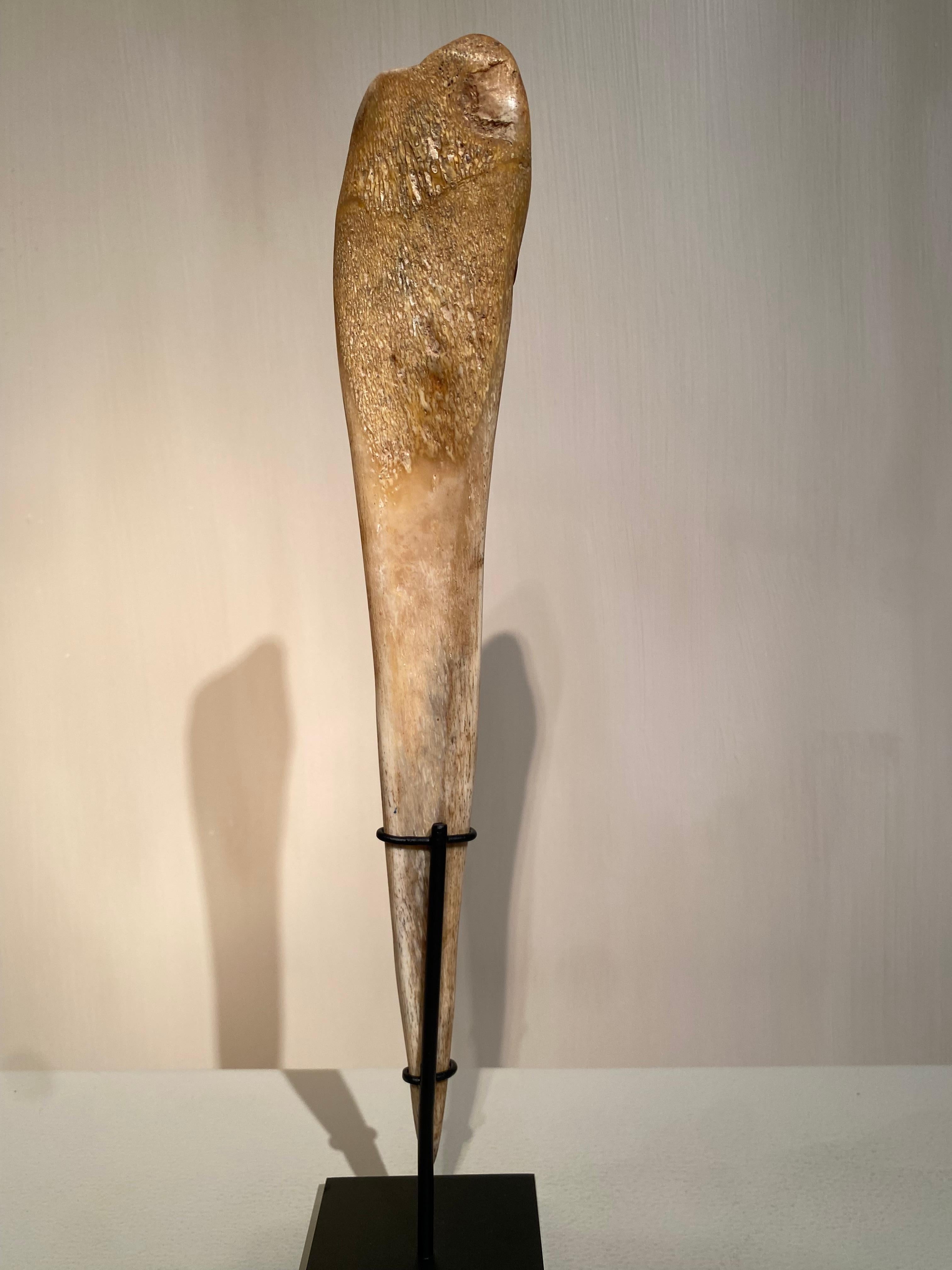 Satz von 5 Tribal Art Messern aus Papua-Neuguinea im Angebot 6