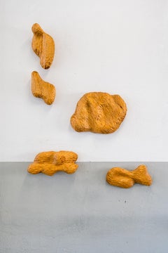 Ensemble de 5 pièces murales Volume 02 sculptées à la main en Wood Wood teinté par Tellurico