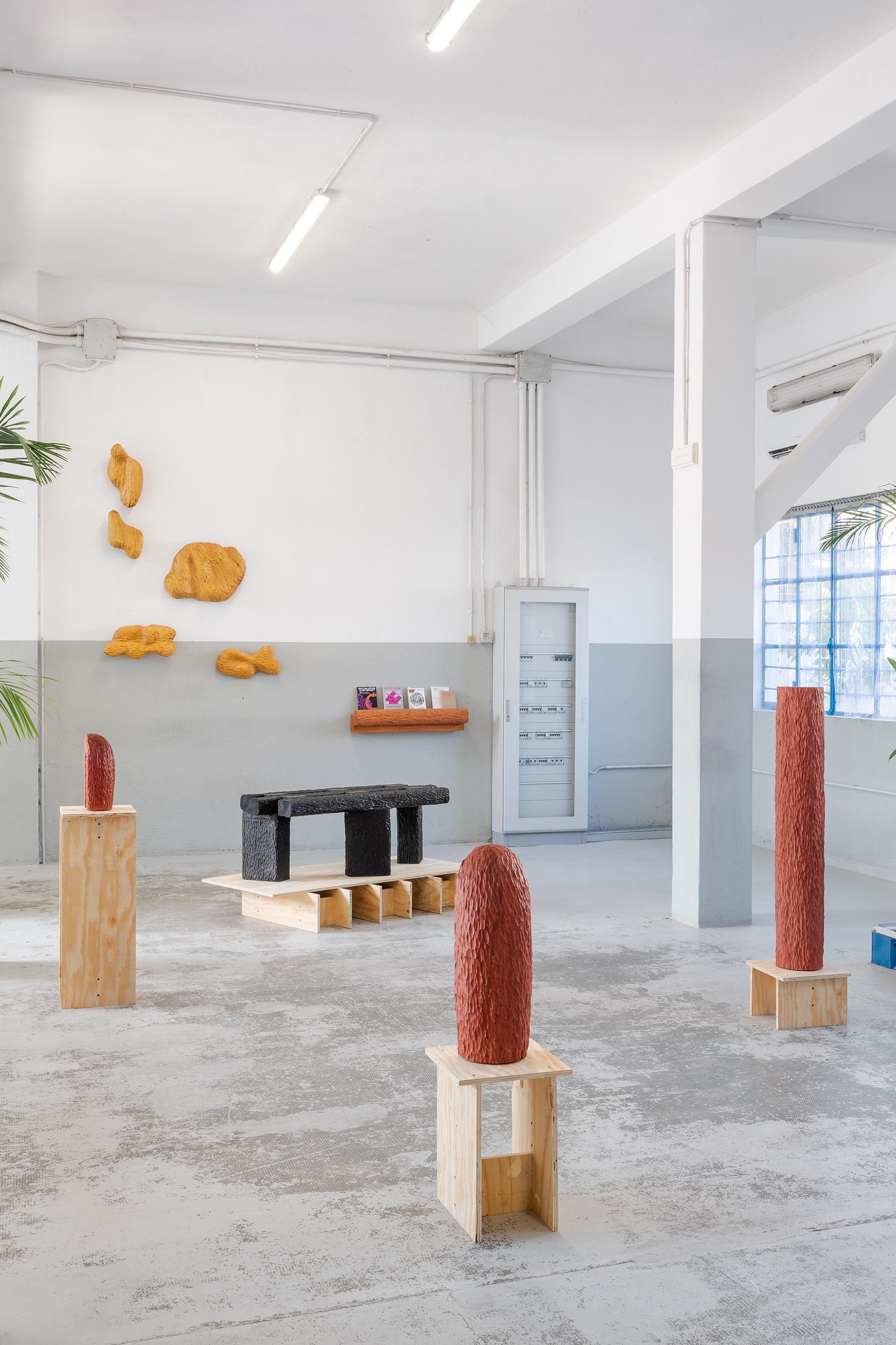 Juego de 5 Piezas de Pared Talladas a Mano Volumen 02 en Madera de Abachi Teñida by Tellurico Siglo XXI y contemporáneo en venta