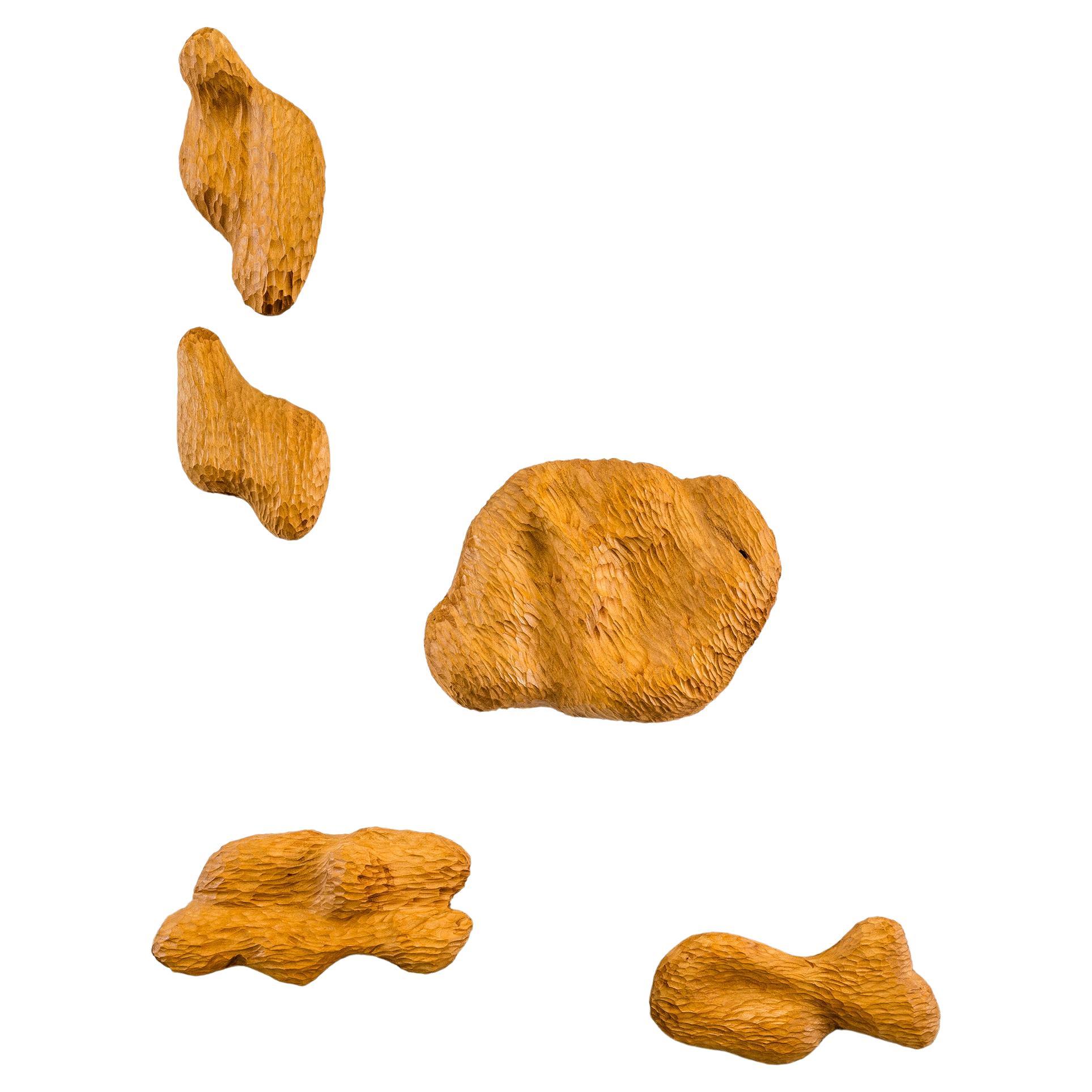 Juego de 5 Piezas de Pared Talladas a Mano Volumen 02 en Madera de Abachi Teñida by Tellurico en venta