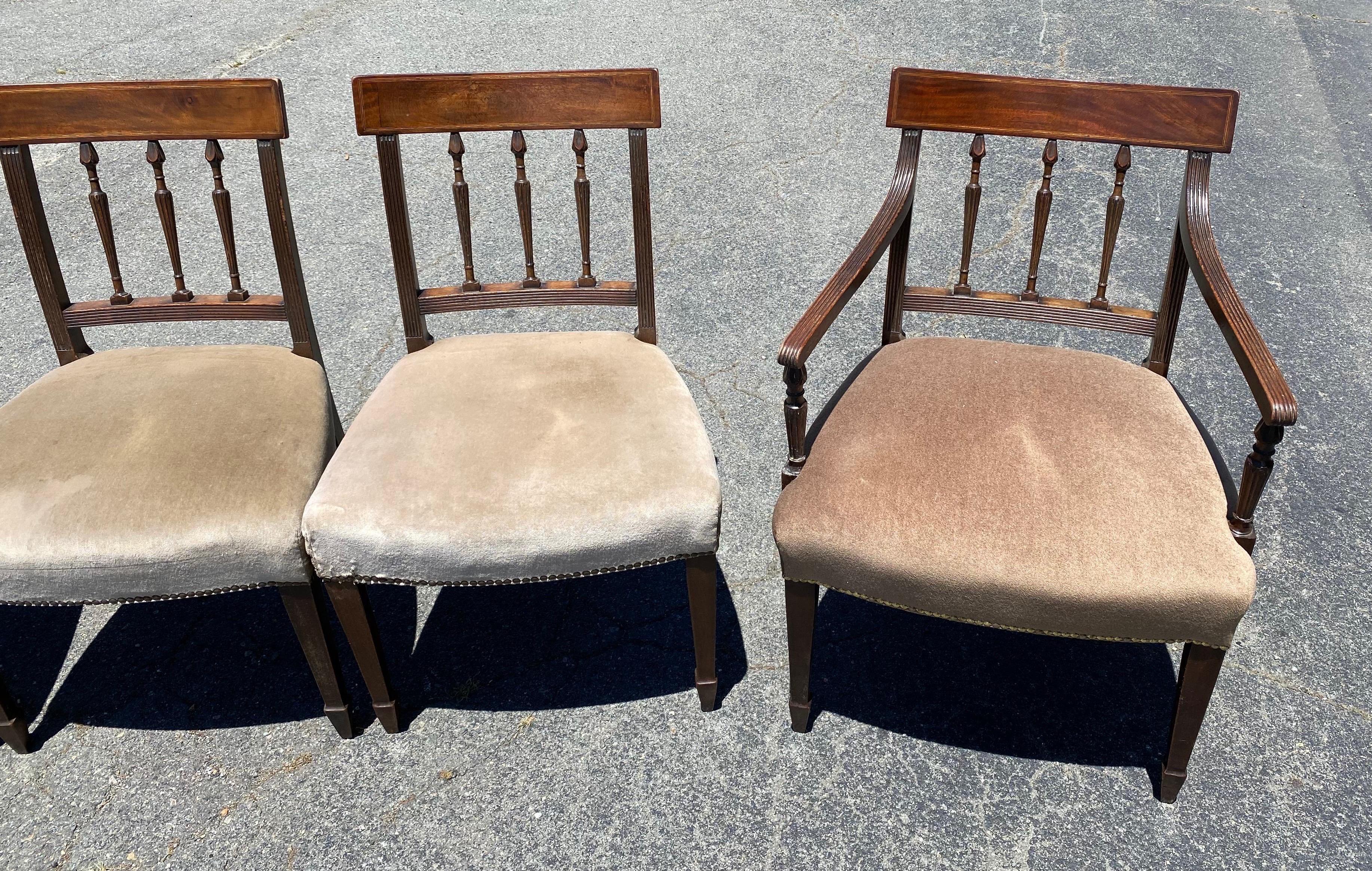 Set of 6 19th Century English Mahogany Chairs in Mohair Fabric In Good Condition For Sale In Charleston, SC