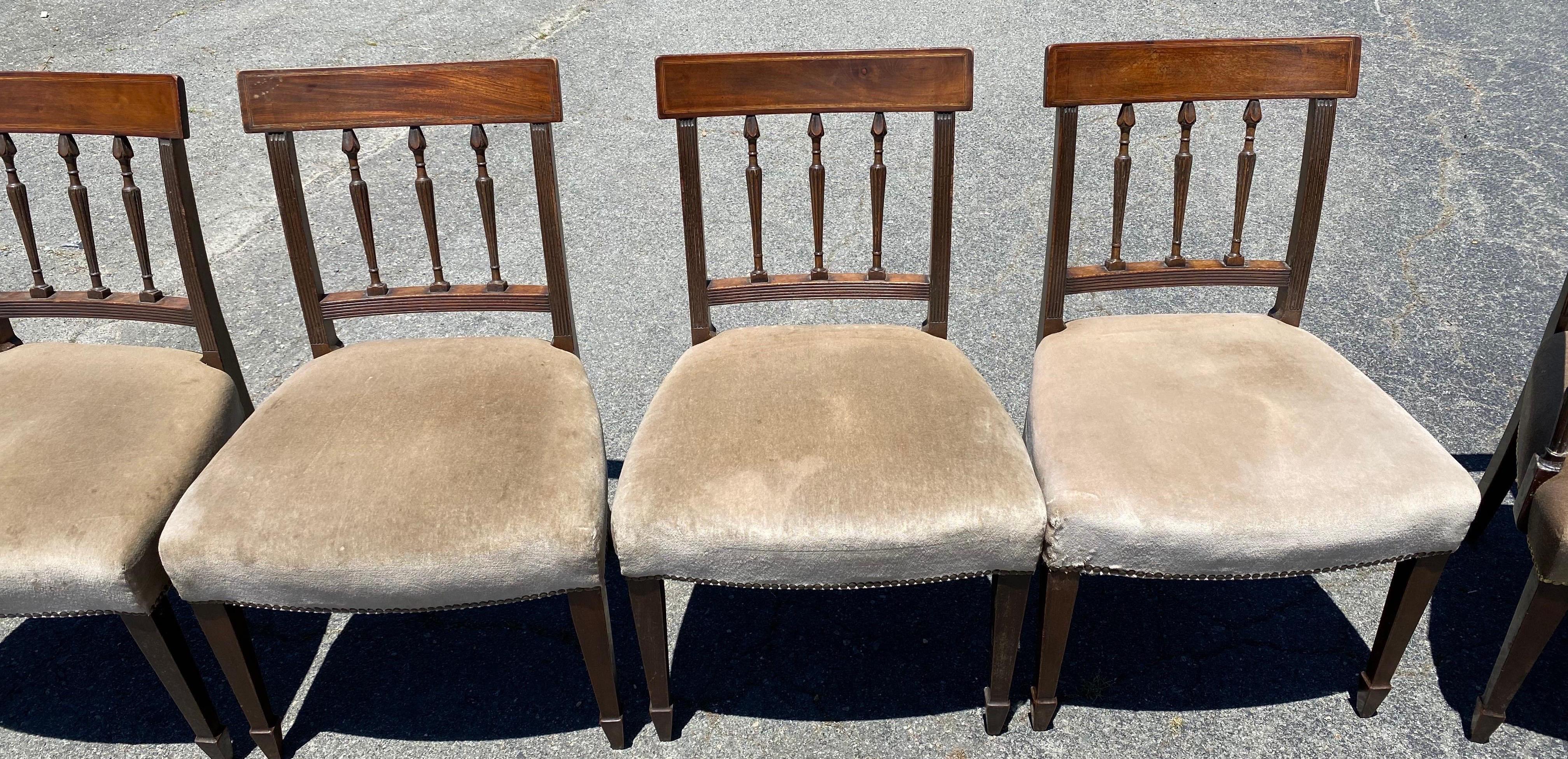 Satz von 6 englischen Mahagoni-Stühlen aus dem 19. Jahrhundert mit Mohair-Stoff im Zustand „Gut“ im Angebot in Charleston, SC