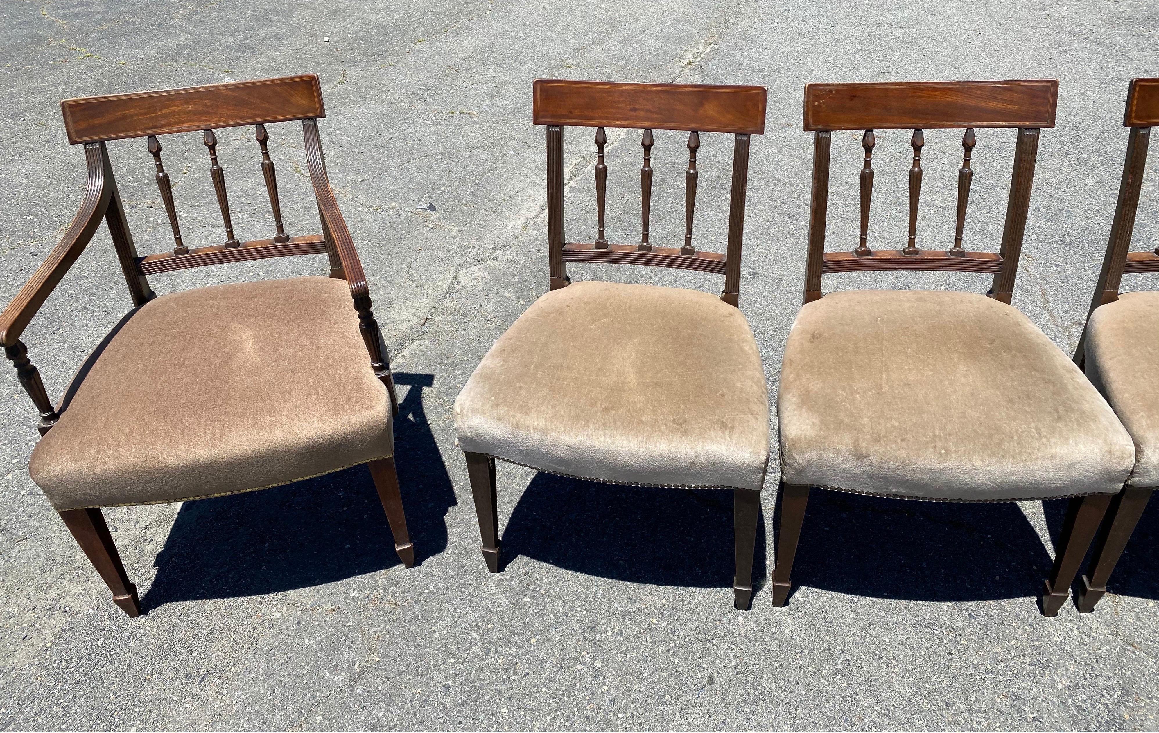 Ensemble de 6 chaises anglaises du 19ème siècle en acajou et tissu mohair Bon état - En vente à Charleston, SC