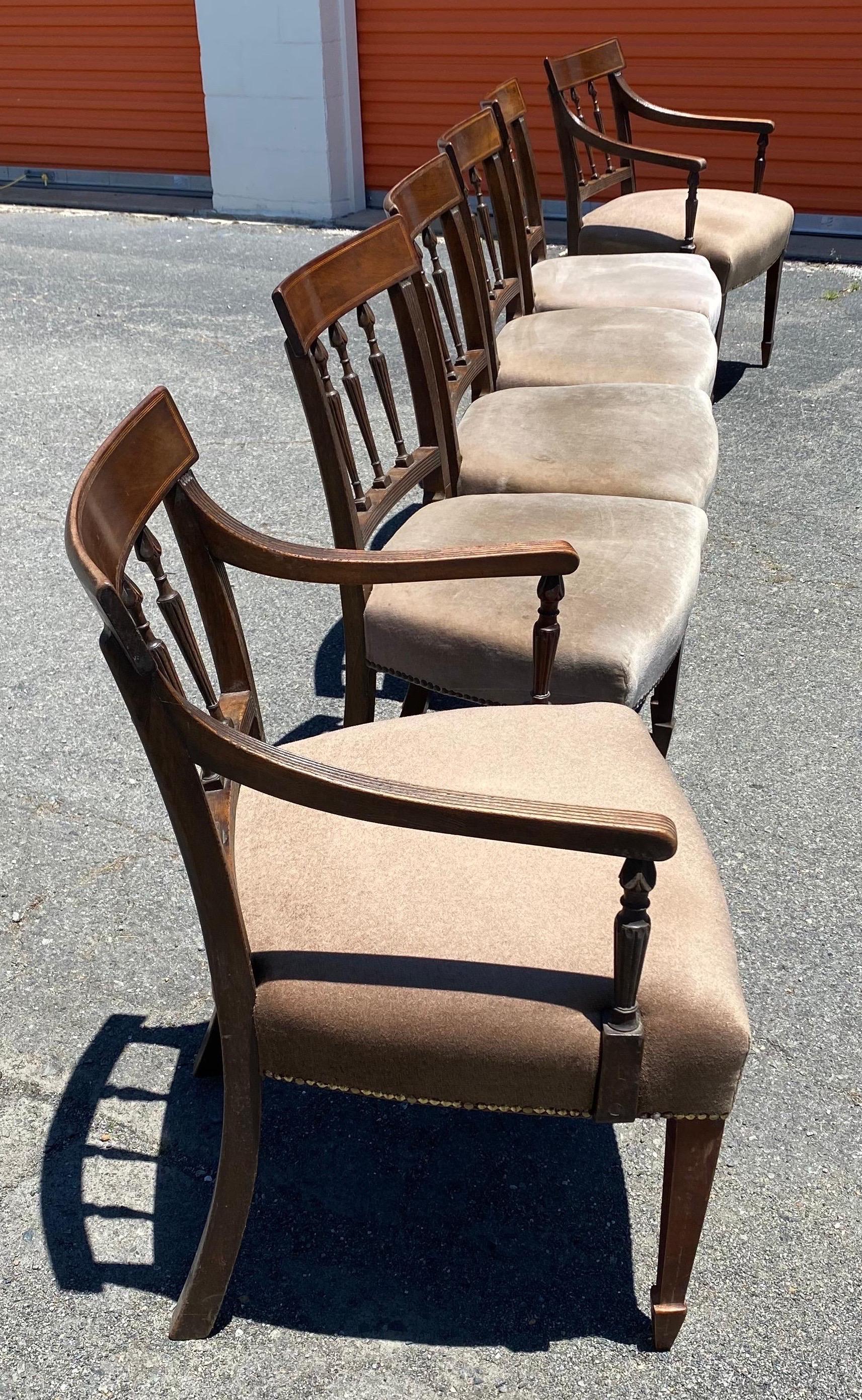 Mohair Ensemble de 6 chaises anglaises du 19ème siècle en acajou et tissu mohair en vente