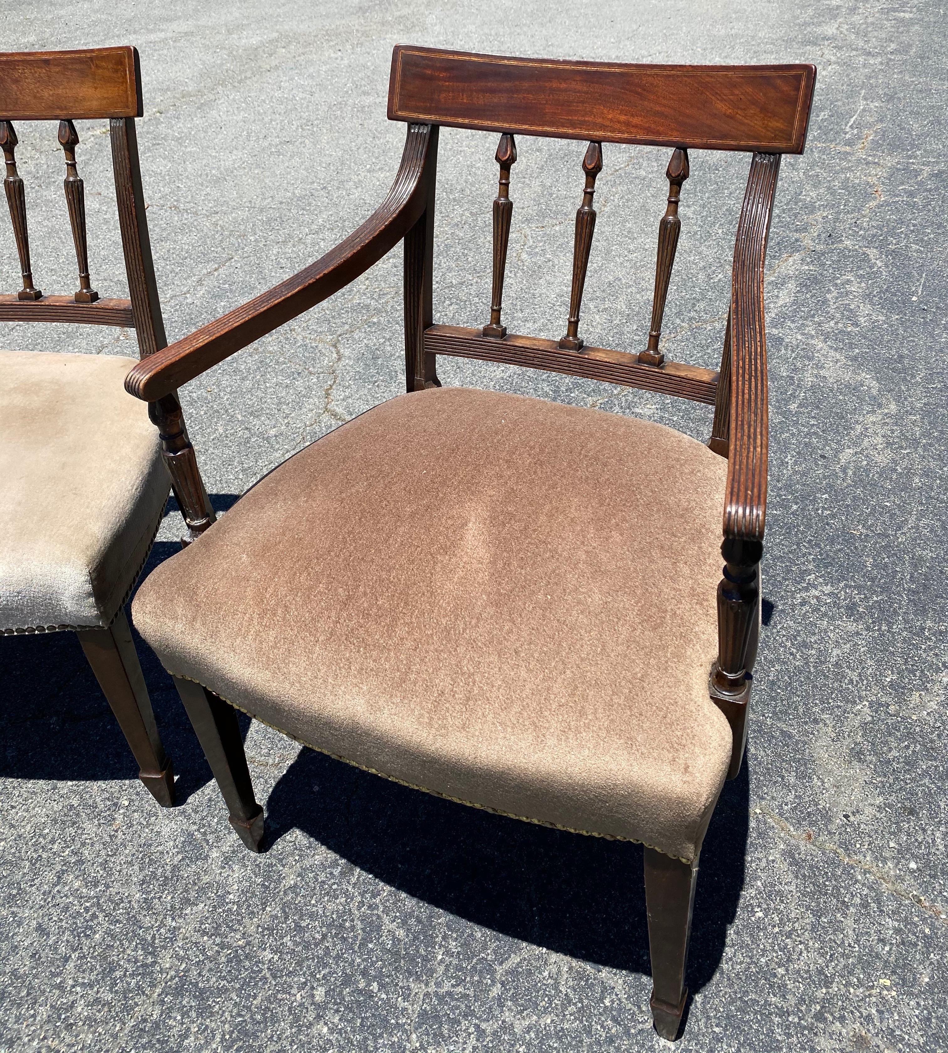 Ensemble de 6 chaises anglaises du 19ème siècle en acajou et tissu mohair en vente 2
