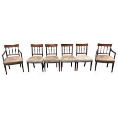 Antique Set of 6 19th Century English Mahogany Chairs in Mohair Fabric