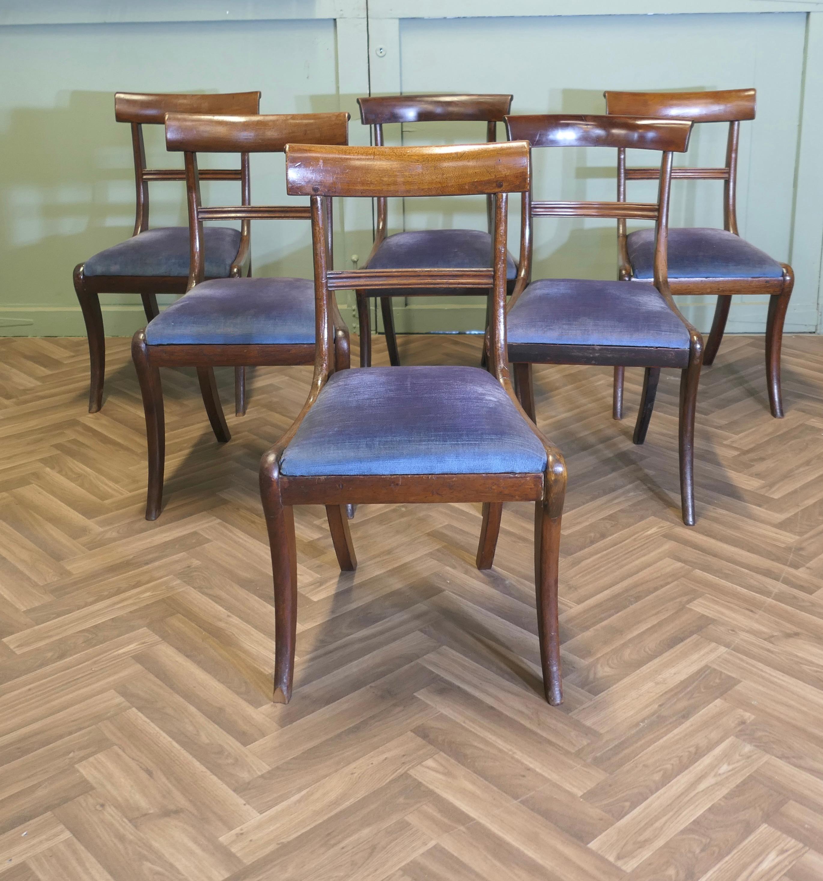 Set di 6 sedie da pranzo Regency del XIX secolo. 
Queste sedie sono bellissime, hanno un'ampia spalliera e gambe distanziate. I sedili in velluto blu sono in buone condizioni d'uso. Si tratta di un set di ottima qualità che presenta alcuni segni