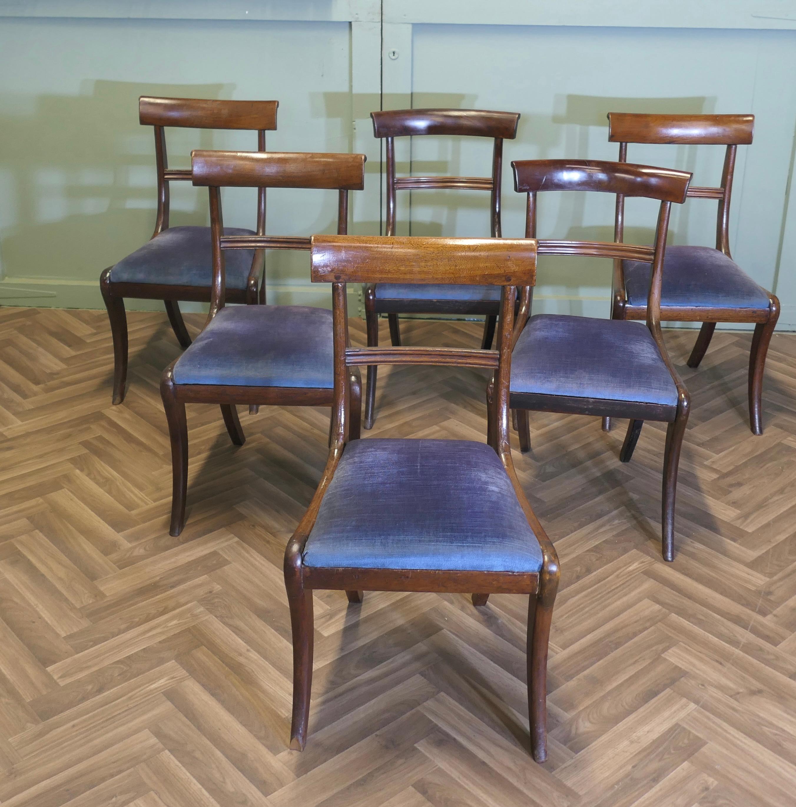 Set di 6 sedie da pranzo Regency del XIX secolo.  Queste sono delle bellissime sedie In condizioni buone in vendita a Godshill, Isle of Wight