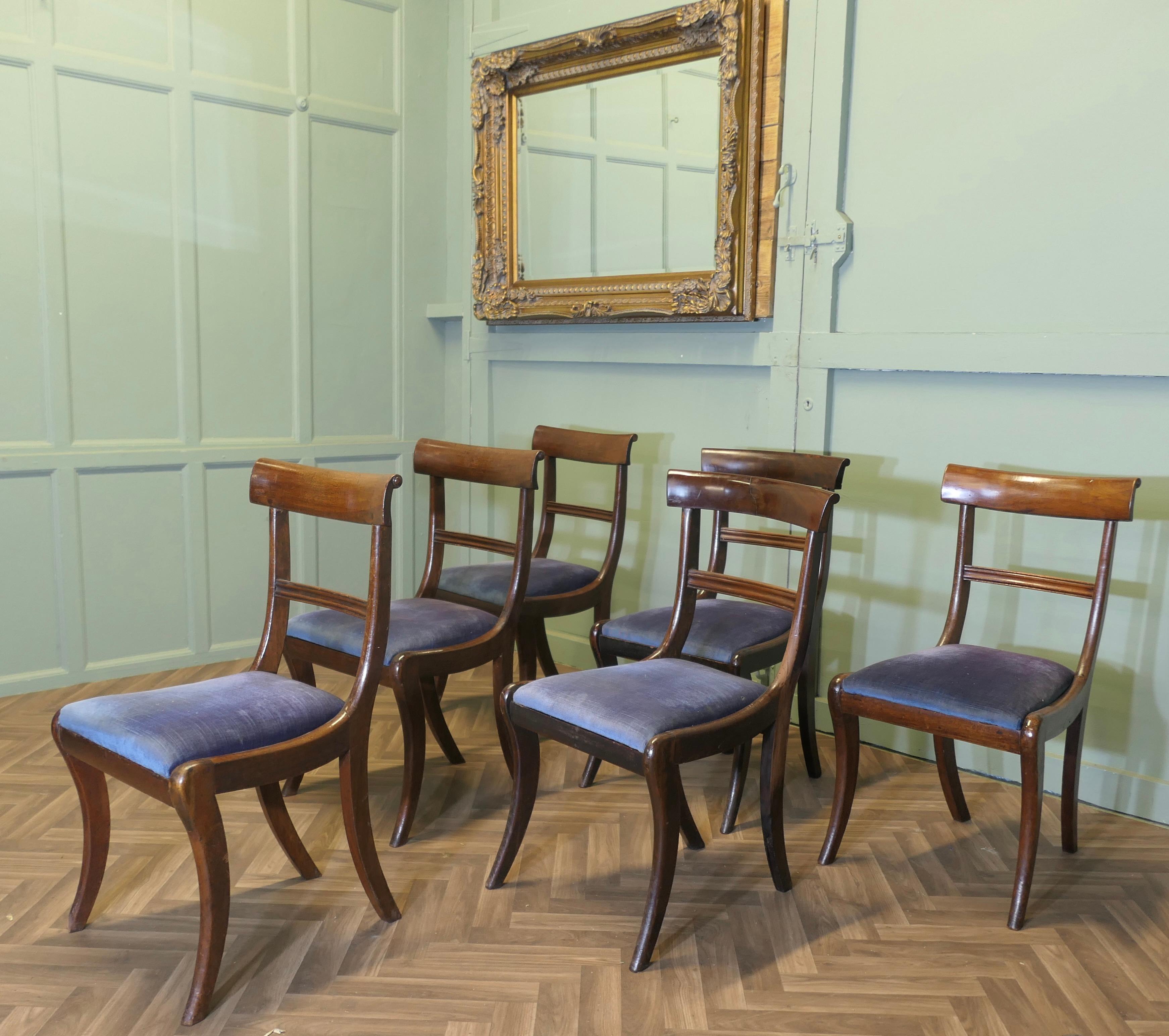 Mogano Set di 6 sedie da pranzo Regency del XIX secolo.  Queste sono delle bellissime sedie in vendita