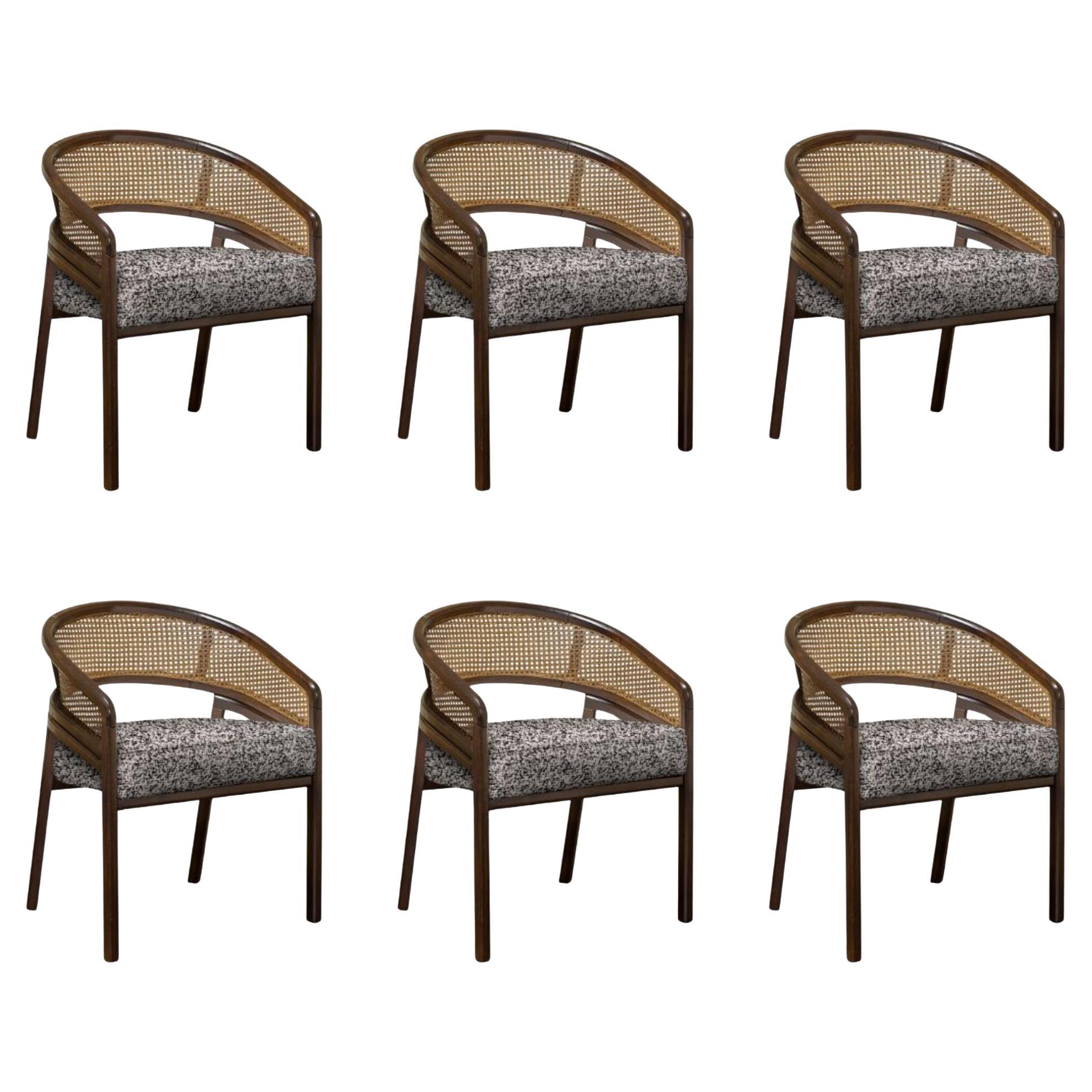 Set of 6 21st Rattan Spencer Dining Chair Wood by Wood Tailors Club For Sale