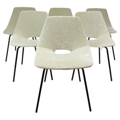 Set of 6 Amsterdam Chairs by Pierre Guariche in Off White Velour, France 1950's