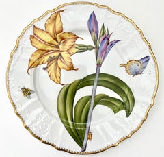 Set of 6 Anna Weatherley Hand Painted Porcelain Dinner Plates